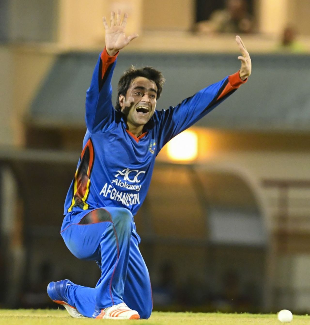 Rashid Khan lets rip with an appeal, West Indies v Afghanistan, 1st ODI, St Lucia, June 9, 2017