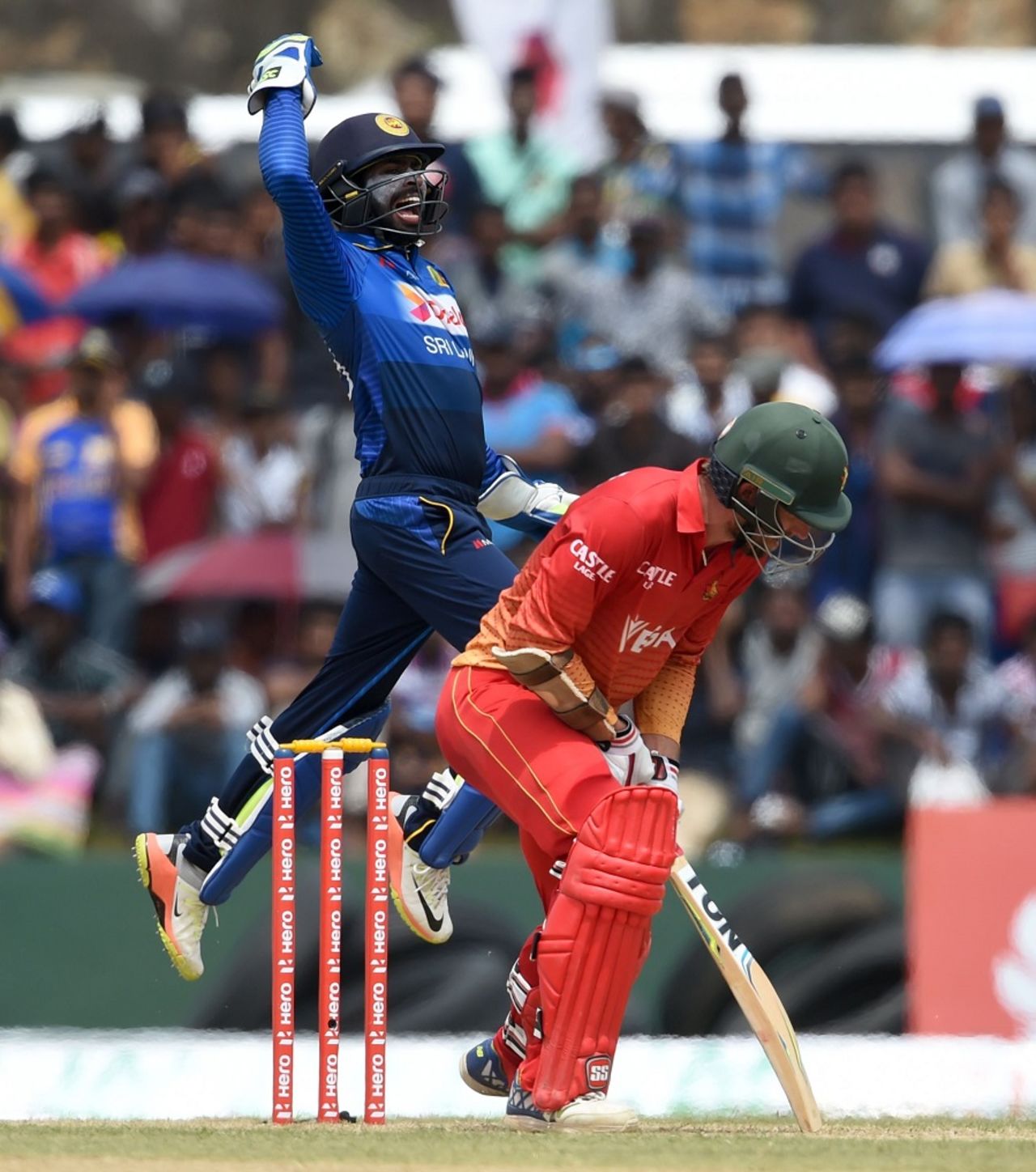 Niroshan Dickwella jumps in delight after taking a catch to dismiss Craig Ervine, Sri Lanka v Zimbabwe, 2nd ODI, Galle, July 2, 2017
