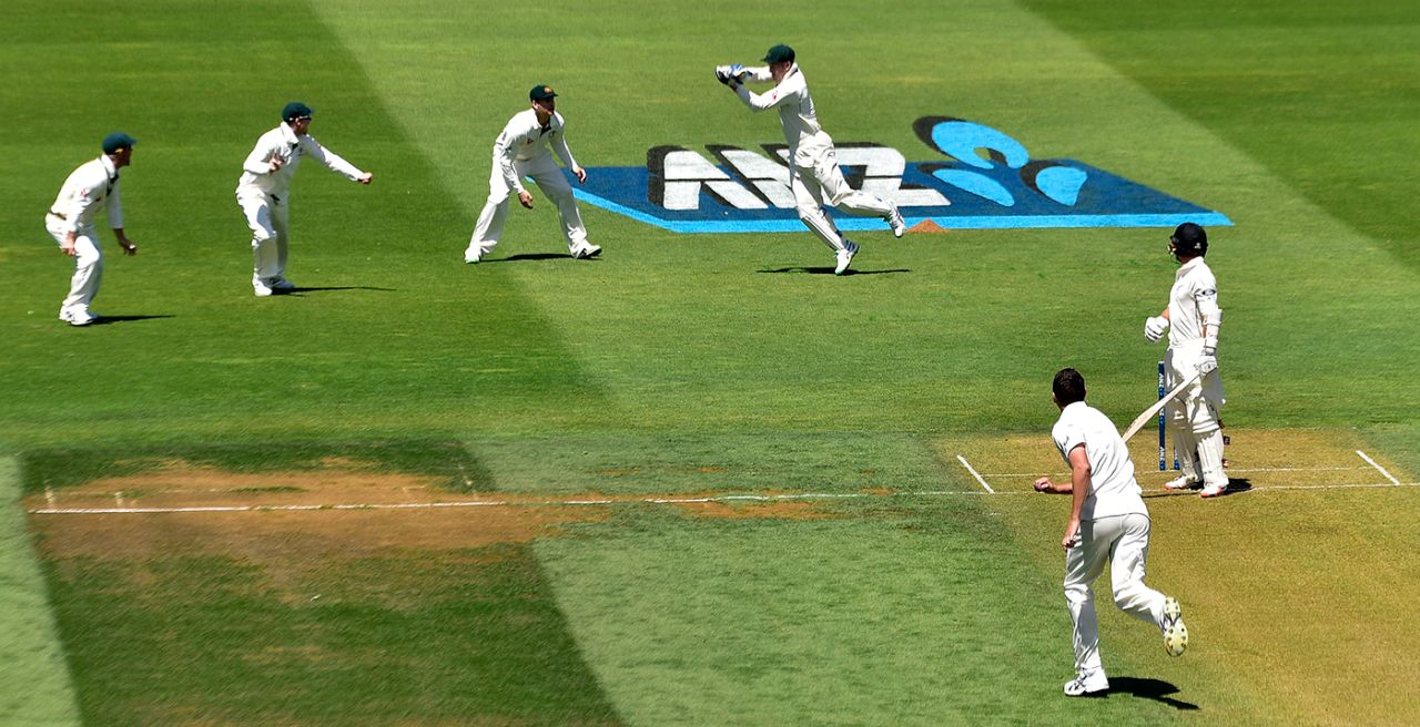 Peter Nevill takes a catch to dismiss BJ Walting, New Zealand v Australia, 1st Test, Wellington, 1st day, February 12, 2016