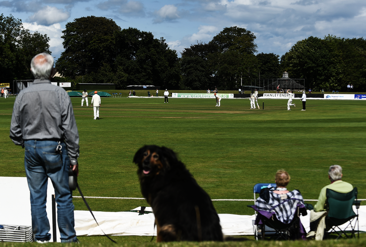 Walk in the park: A spectator with his dog, Ireland v Netherlands, Intercontinental Cup, 1st day, Dublin, August 15, 2017 