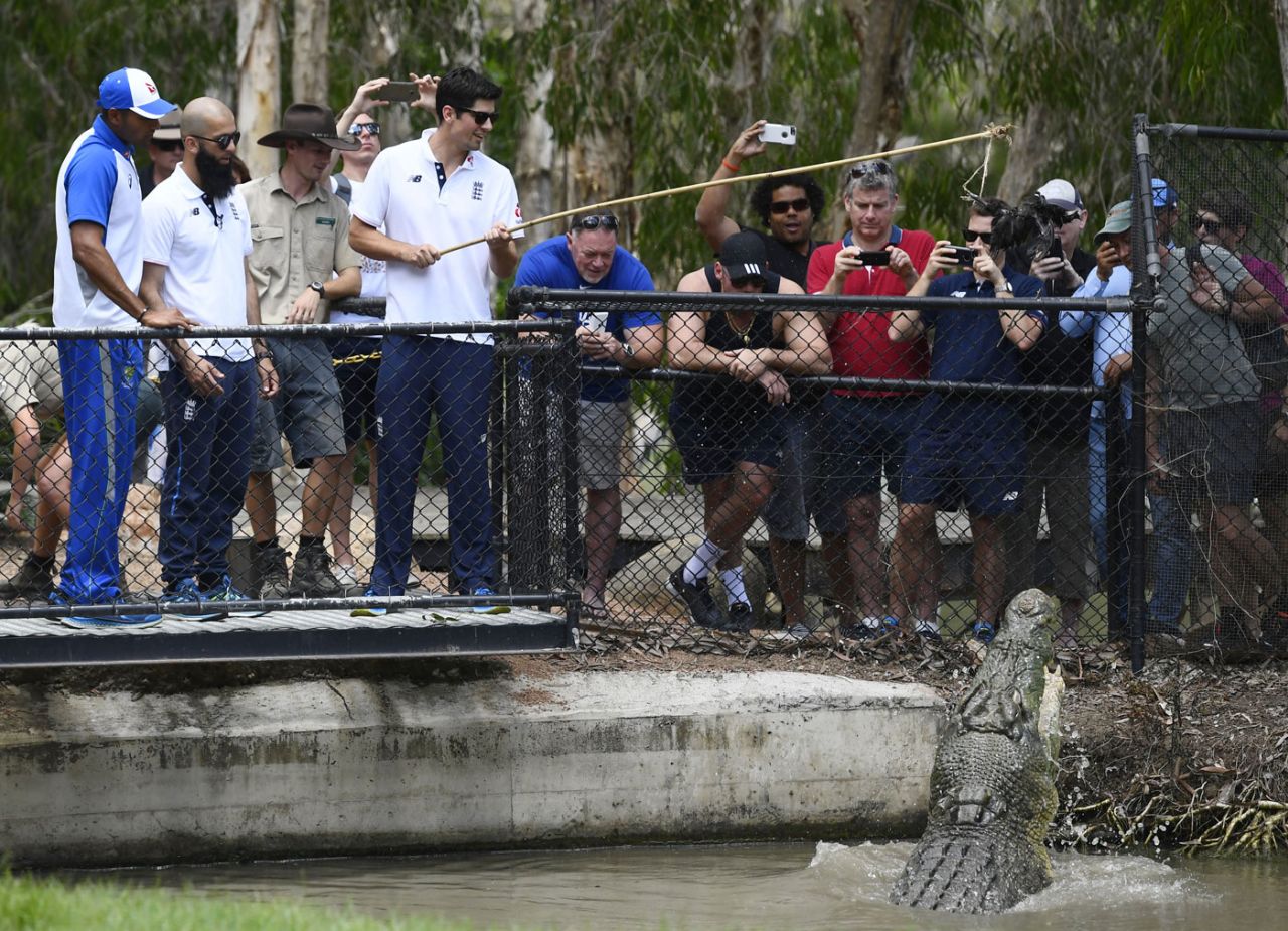 Crunch time: Alastair Cook feeds a crocodile at a wildlife sanctuary, Townsville, November 13, 2017