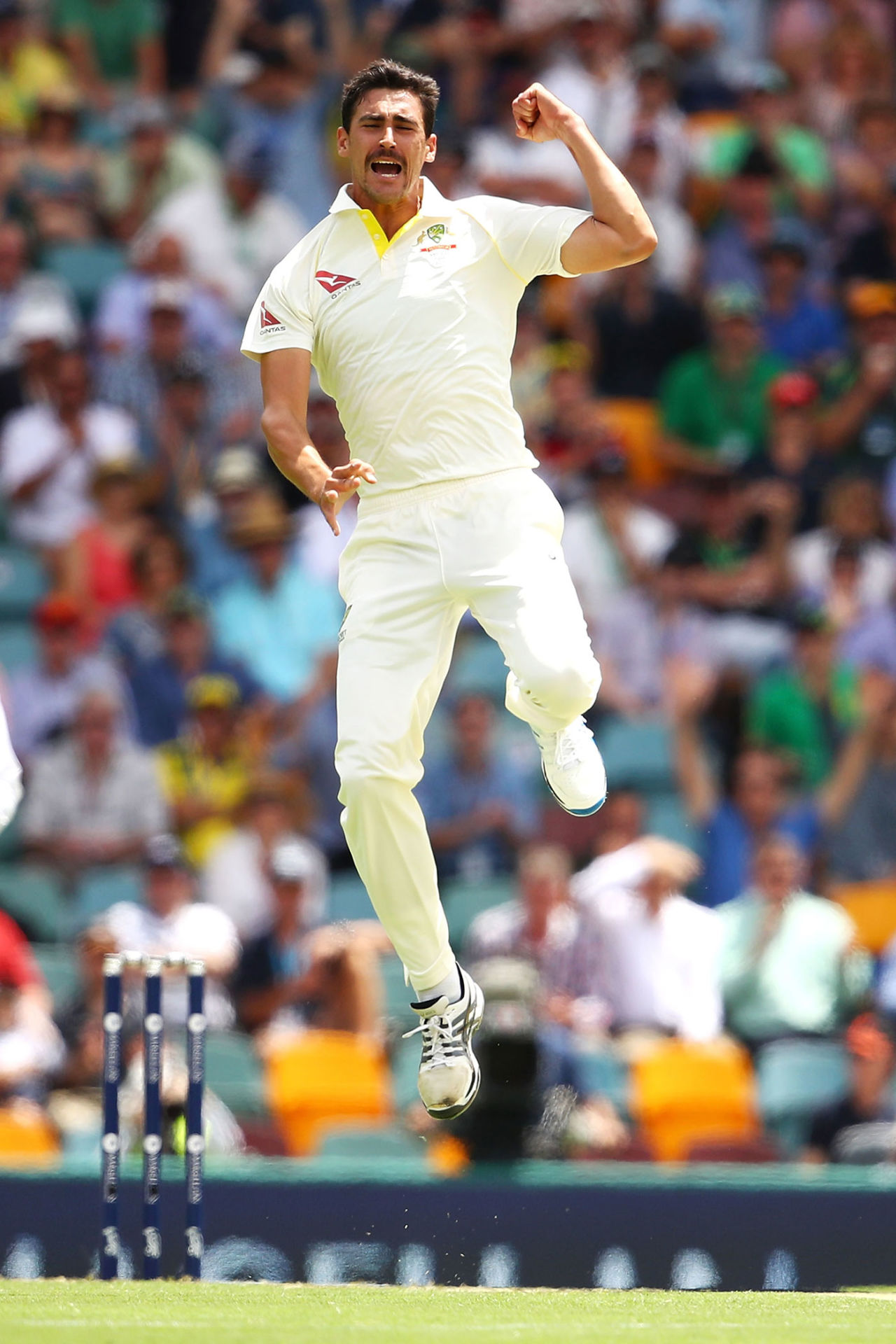 Mitchell Starc struck in his second over to remove Alastair Cook, Australia v England, 1st Test, The Ashes 2017-18, 1st day, Brisbane, November 23, 2017