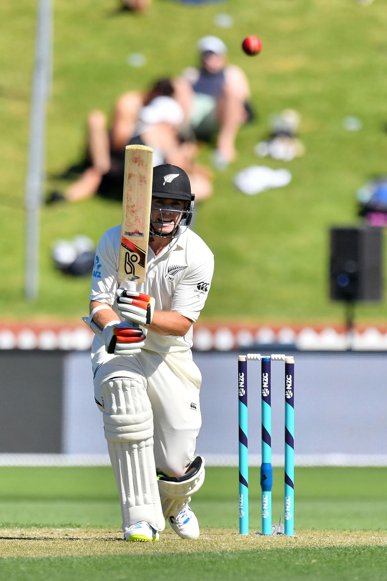 Tom Latham steers one onto the off side, New Zealand v West Indies, 1st Test, Wellington, 1st day, December 1, 2017