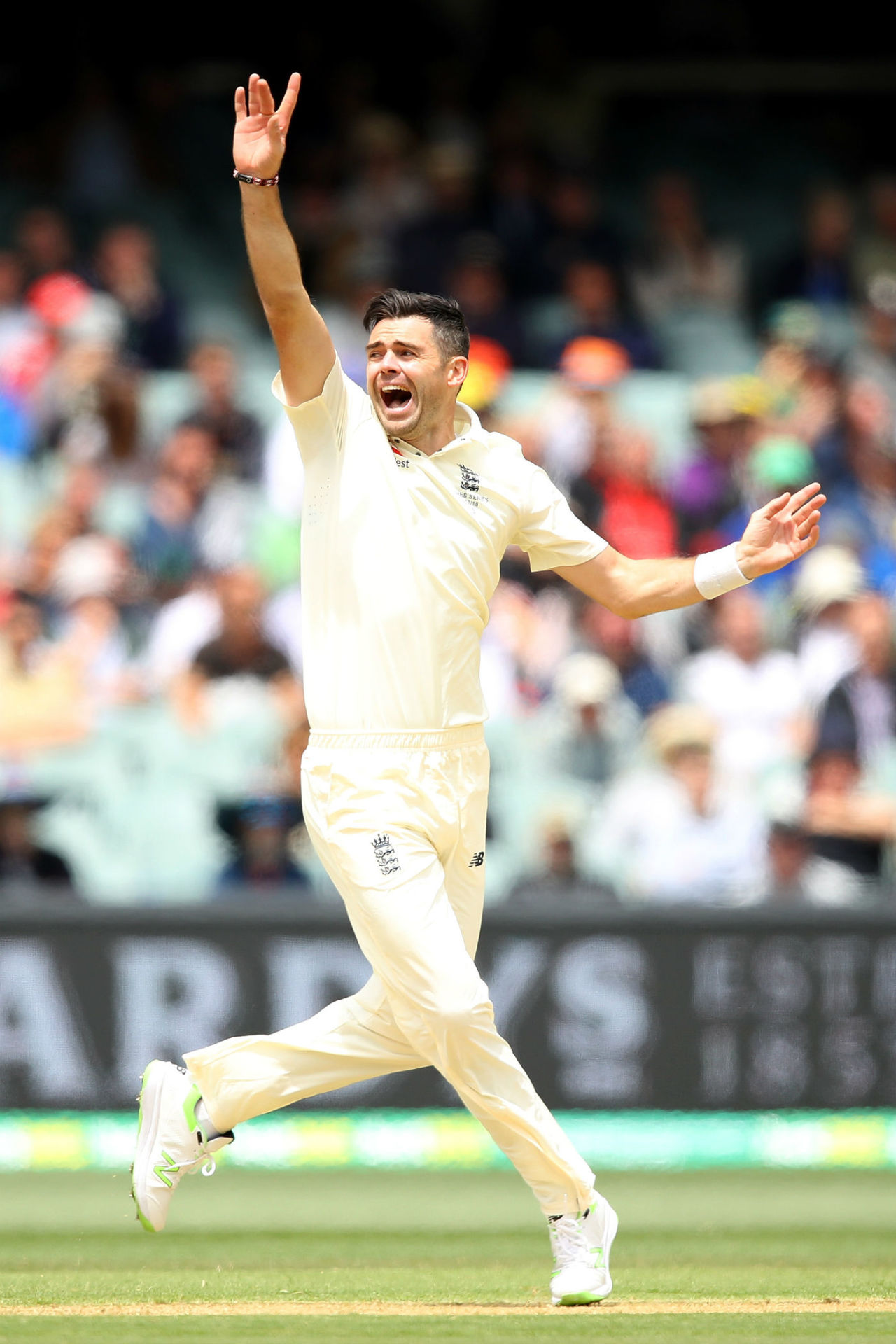 James Anderson appeals on the second day, Australia v England, 2nd Test, The Ashes 2017-18, 2nd day, Adelaide, December 3, 2017