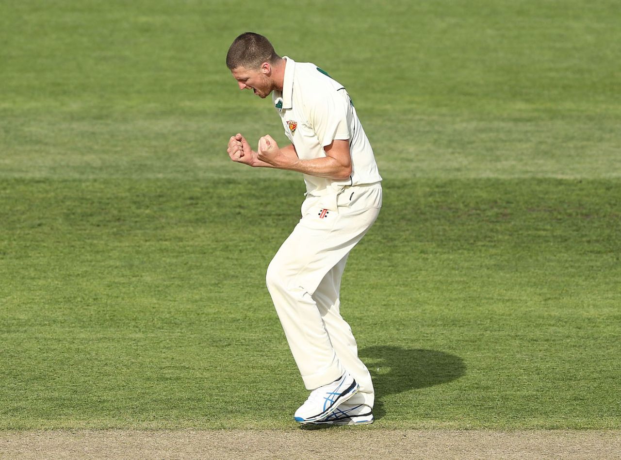 Jackson Bird is pumped after taking a wicket, Tasmania v New Sotuh Wales, Sheffield Shield 2017-18, Hobart, 3rd day, December 5, 2017
