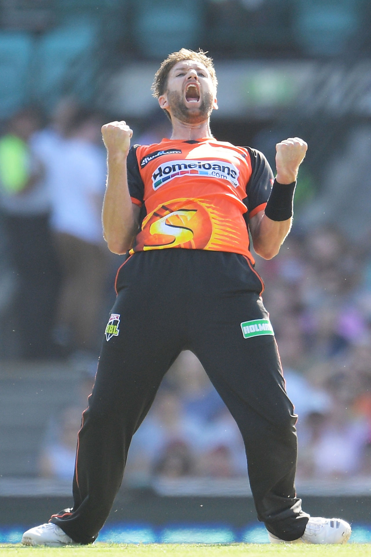 Andrew Tye has picked up three T20 hat-tricks this year, Sydney Sixers v Perth Scorchers, Big Bash League 2017-18, Sydney, December 23, 2017