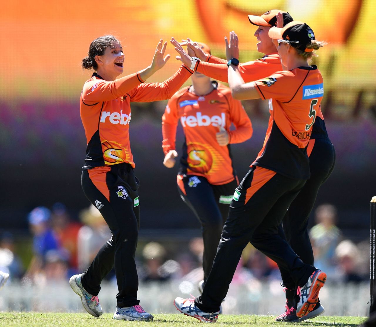 Nicole Bolton celebrates after dismissing Alyssa Healy, Perth Scorchers v Sydney Sixers, Women's Big Bash League 2017-18, Perth, December 30, 2017