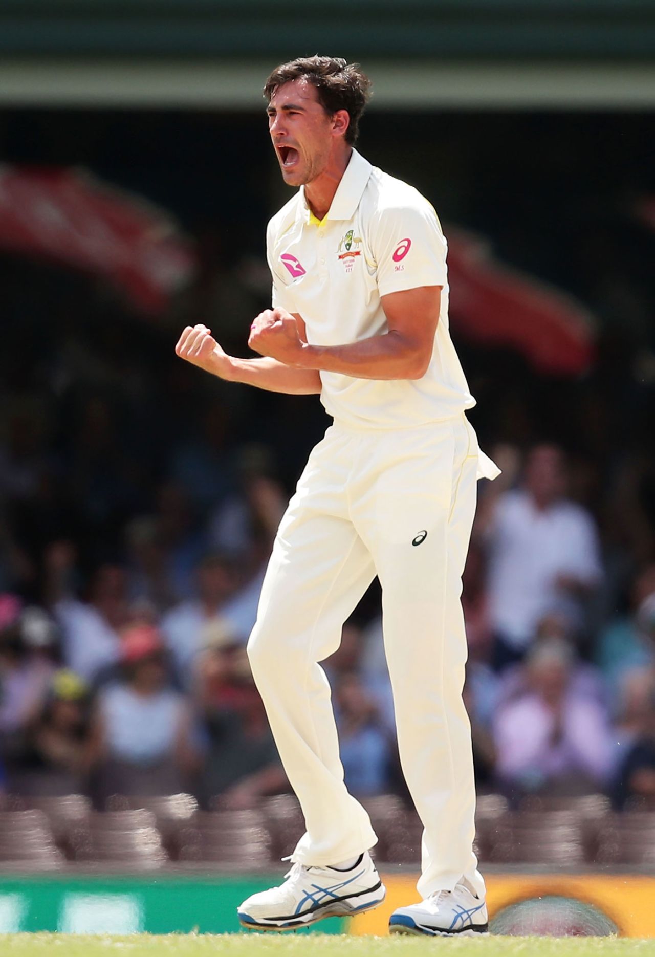 Mitchell Starc struck in his second over, Australia v England, 5th Test, Sydney, 4th day, January 7, 2018