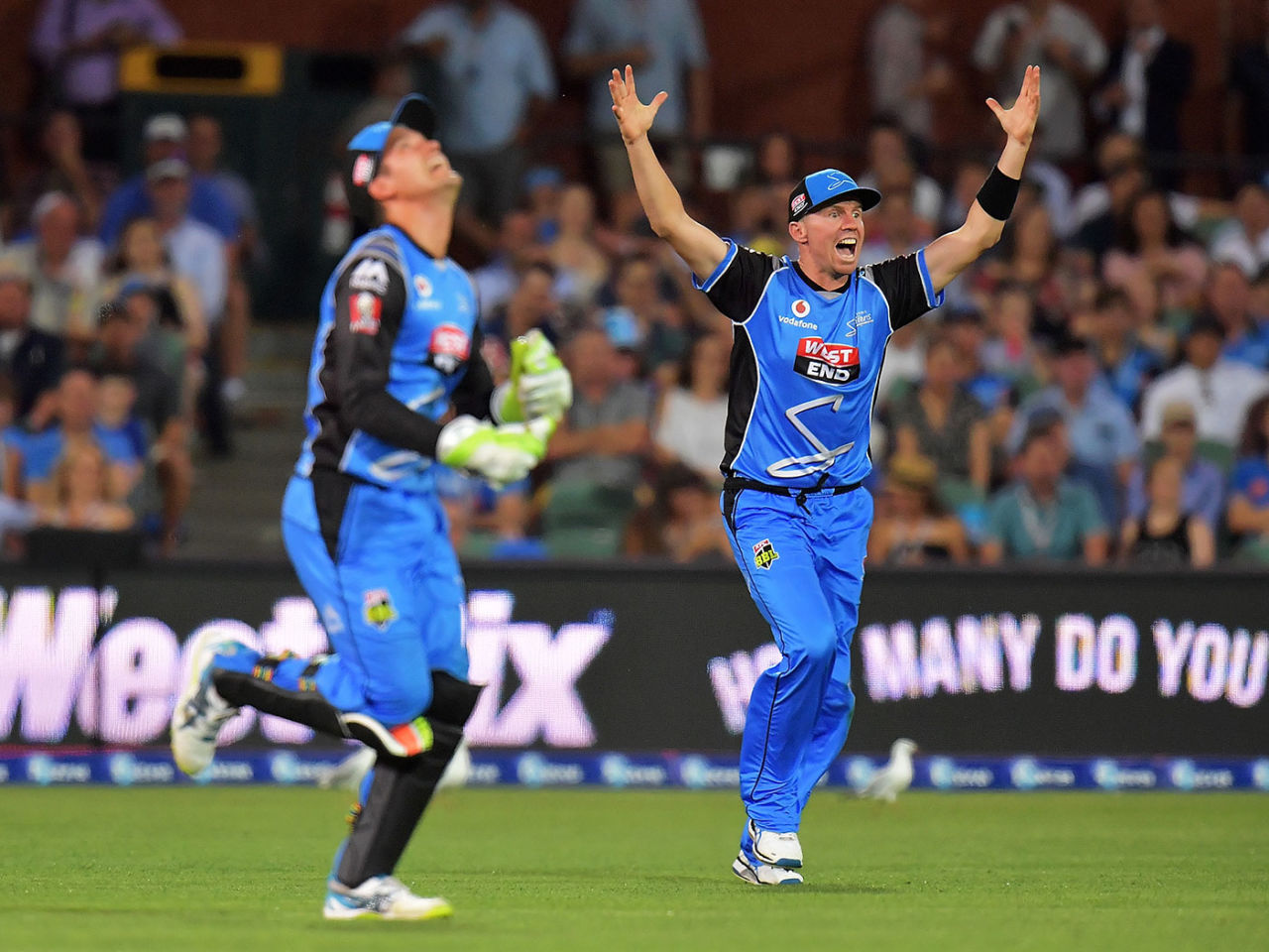 Peter Siddle celebrates a wicket, Adelaide Strikers v Hobart Hurricanes, BBL 2017-18, Adelaide, January 17, 2018 