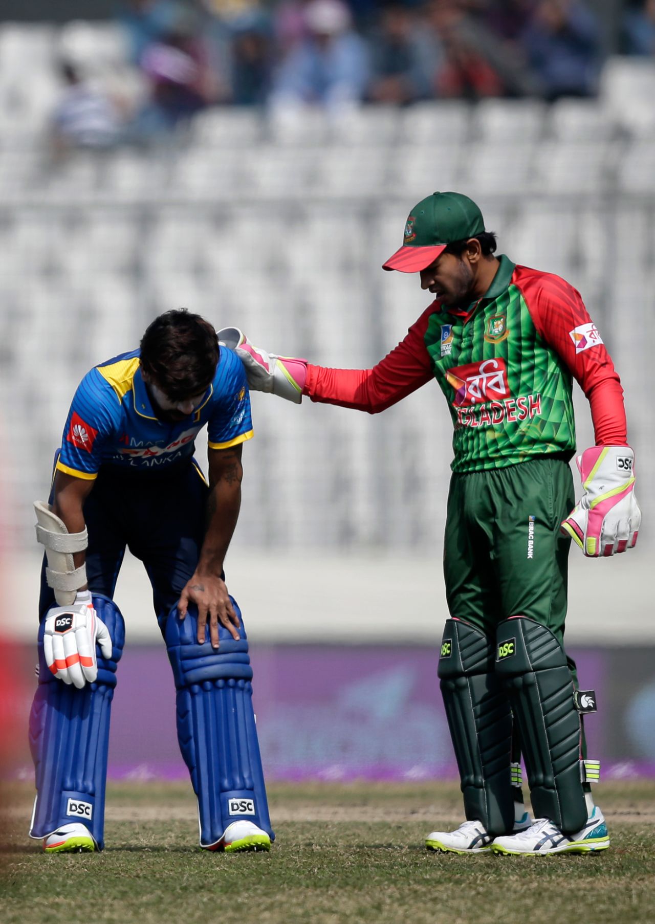 Mushfiqur Rahim checks on Niroshan Dickwella after he took a blow to his chest, Bangladesh v Sri Lanka, Tri-Nation Series, final, Mirpur, January 27, 2018