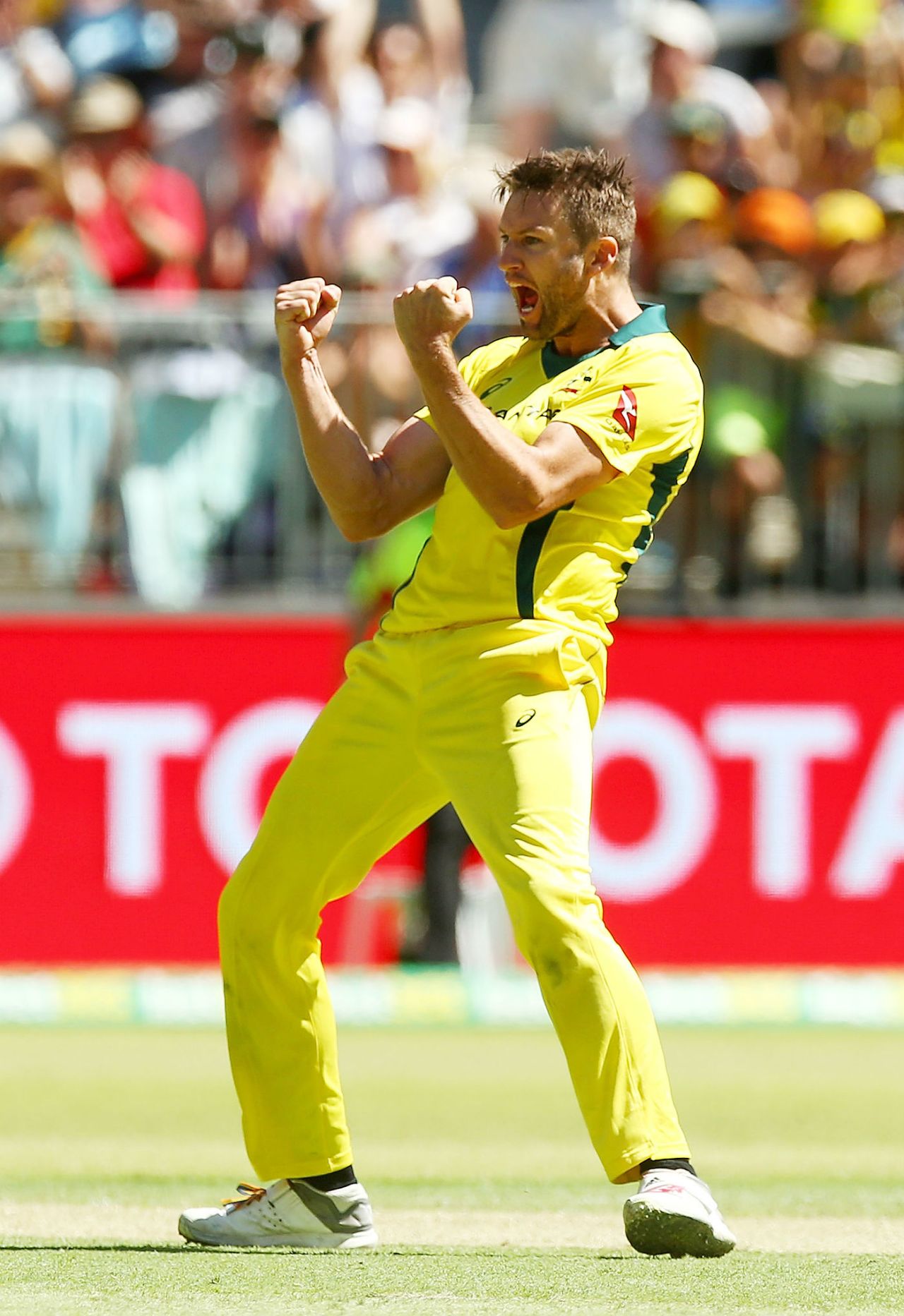 Andrew Tye claimed his maiden five-wicket haul, Australia v England, 5th ODI, Perth, January 28, 2018