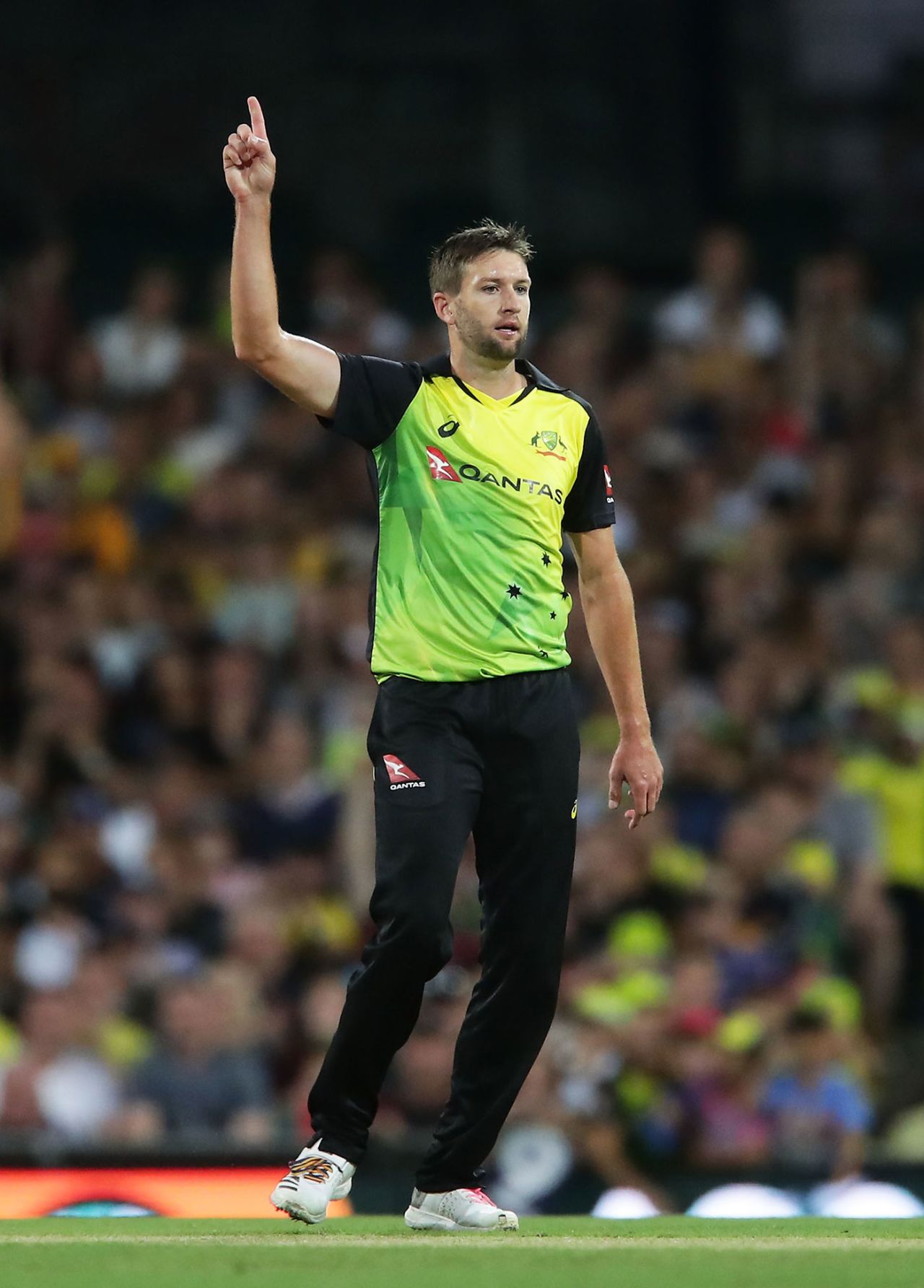 Andrew Tye picked up four wickets, Australia v New Zealand, Trans-Tasman T20, Sydney, February 3, 2018