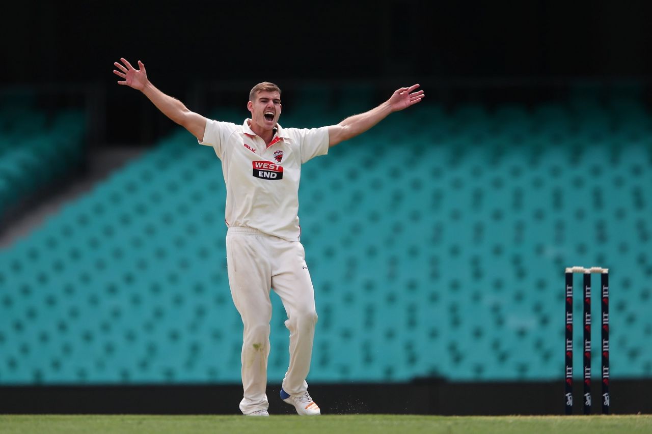 Nick Winter belts out an appeal, New South Wales v South Australia, Sheffield Shield 2017-18, Sydney, February 16, 2018