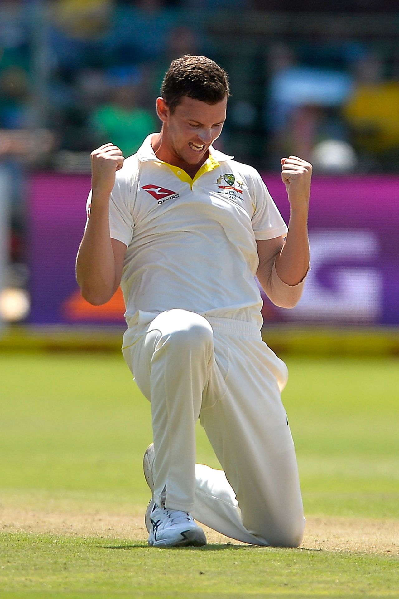 Josh Hazlewood gets on one knee as he celebrates, South Africa v Australia, 2nd Test, 2nd day, Port Elizabeth, March 10, 2018