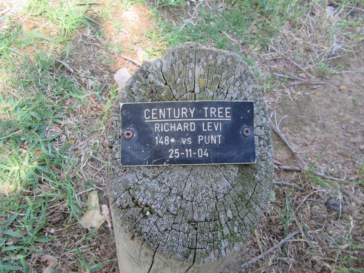 A plaque on a tree stump beside the tree planted to mark a hundred scored by Richard Levi in 2004, February 2018