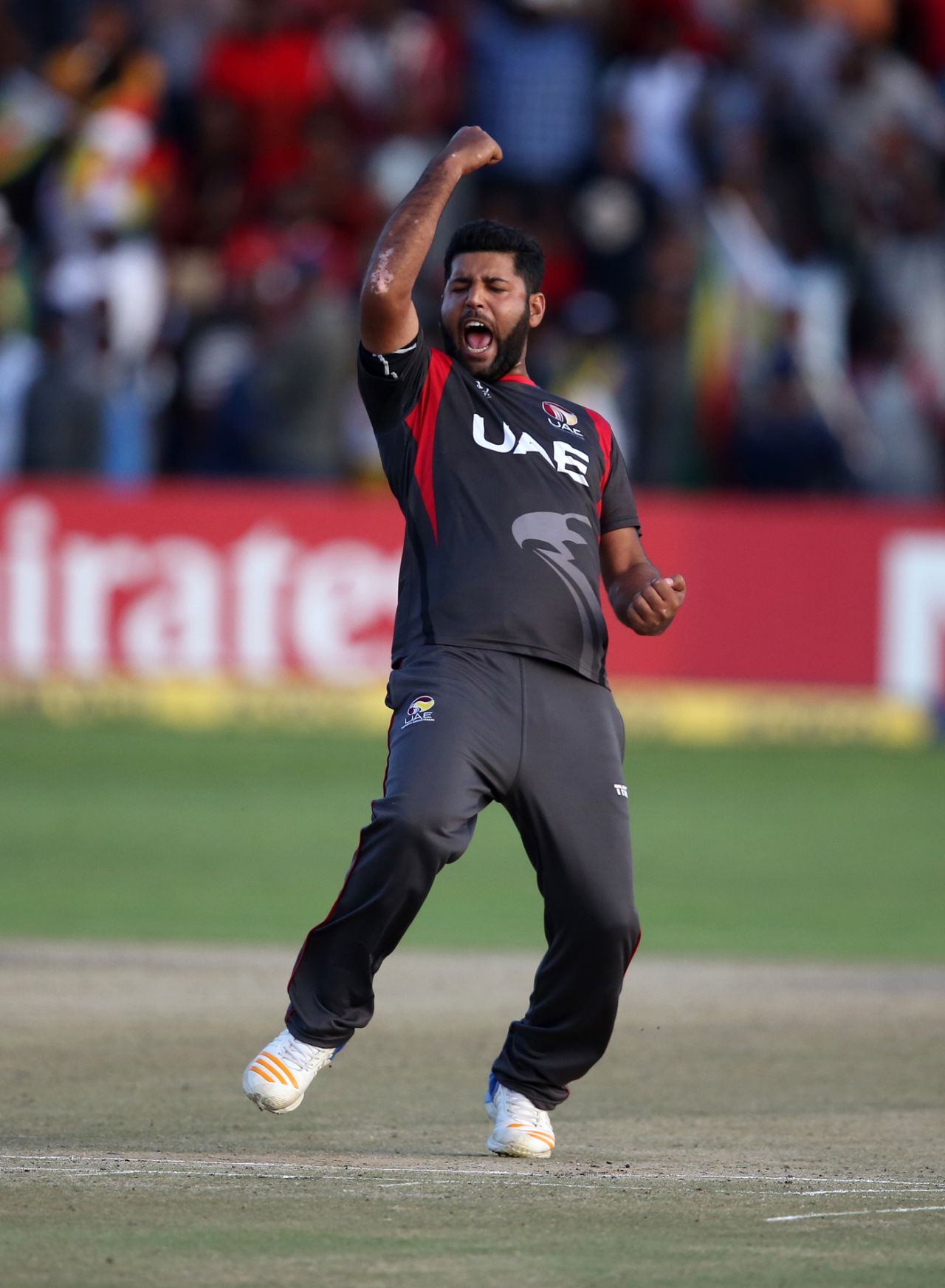Mohammad Naveed exults after picking up a wicket, Zimbabwe v UAE, World Cup qualifier, Super Sixes, Harare, March 22, 2018