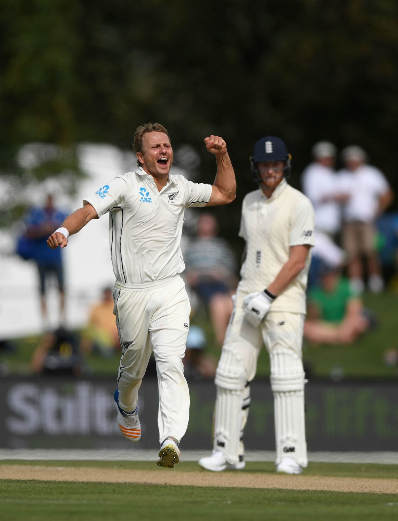 Neil Wagner had Joe Root caught behind, New Zealand v England, 2nd Test, Christchurch, 4th day, April 2, 2018