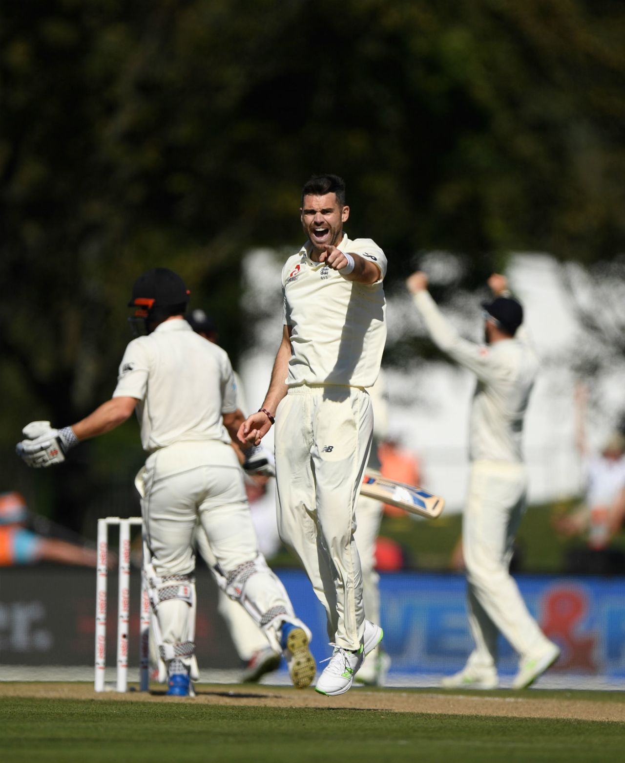 James Anderson celebrates the wicket of Henry Nicholls, New Zealand v England, 2nd Test, Christchurch, 5th day, April 3, 2018