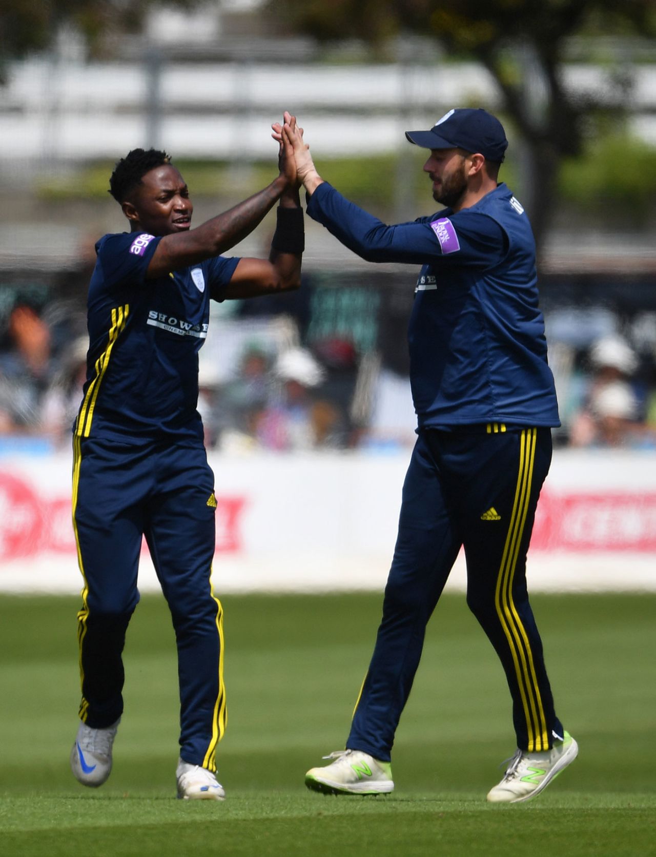 Fidel Edwards celebrates a wicket with James Vince, Sussex v Hampshire, Royal London Cup, Hove, May 19, 2018