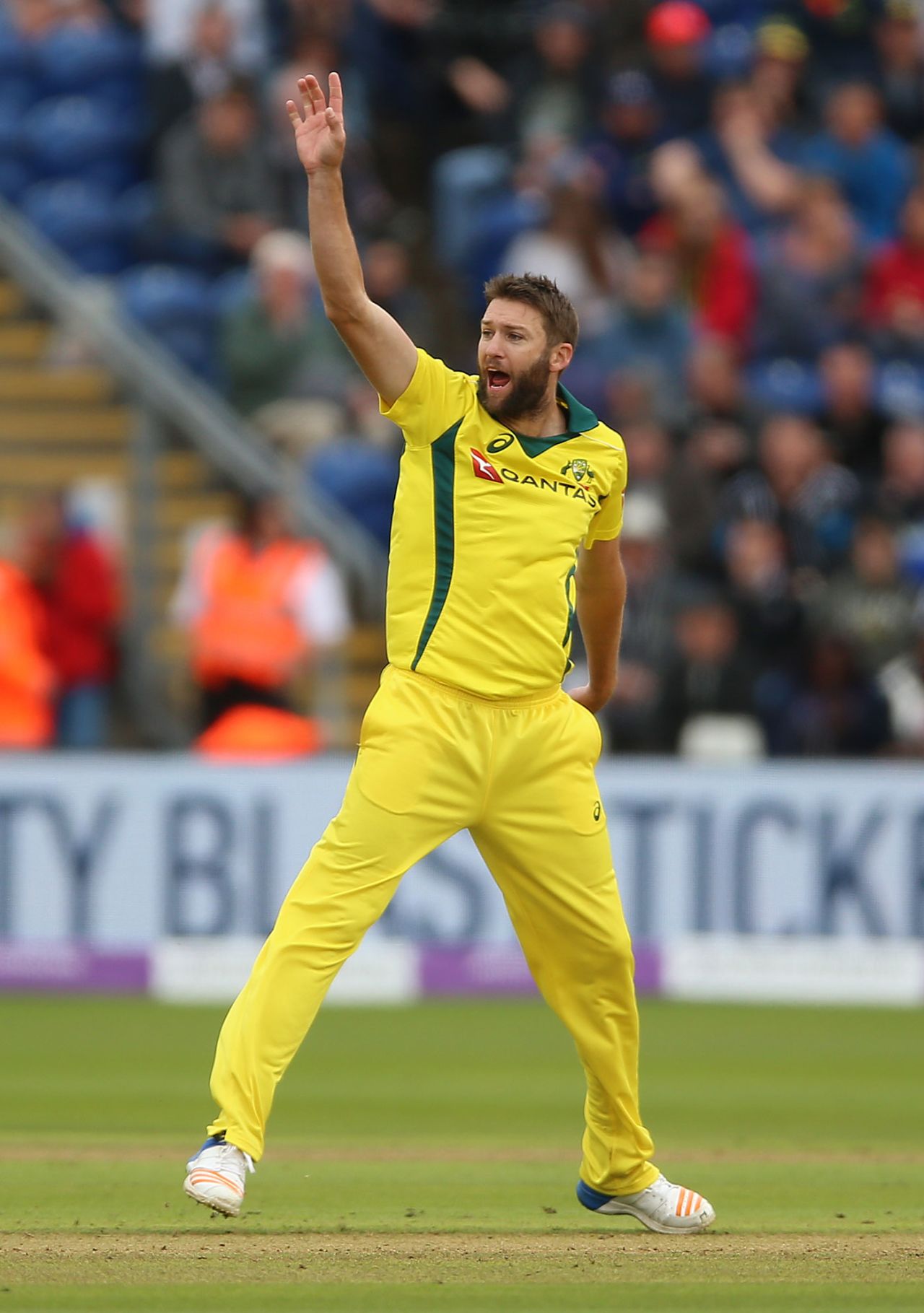 Andrew Tye checked England with two wickets, England v Australia, 2nd ODI, Cardiff, June 16, 2018