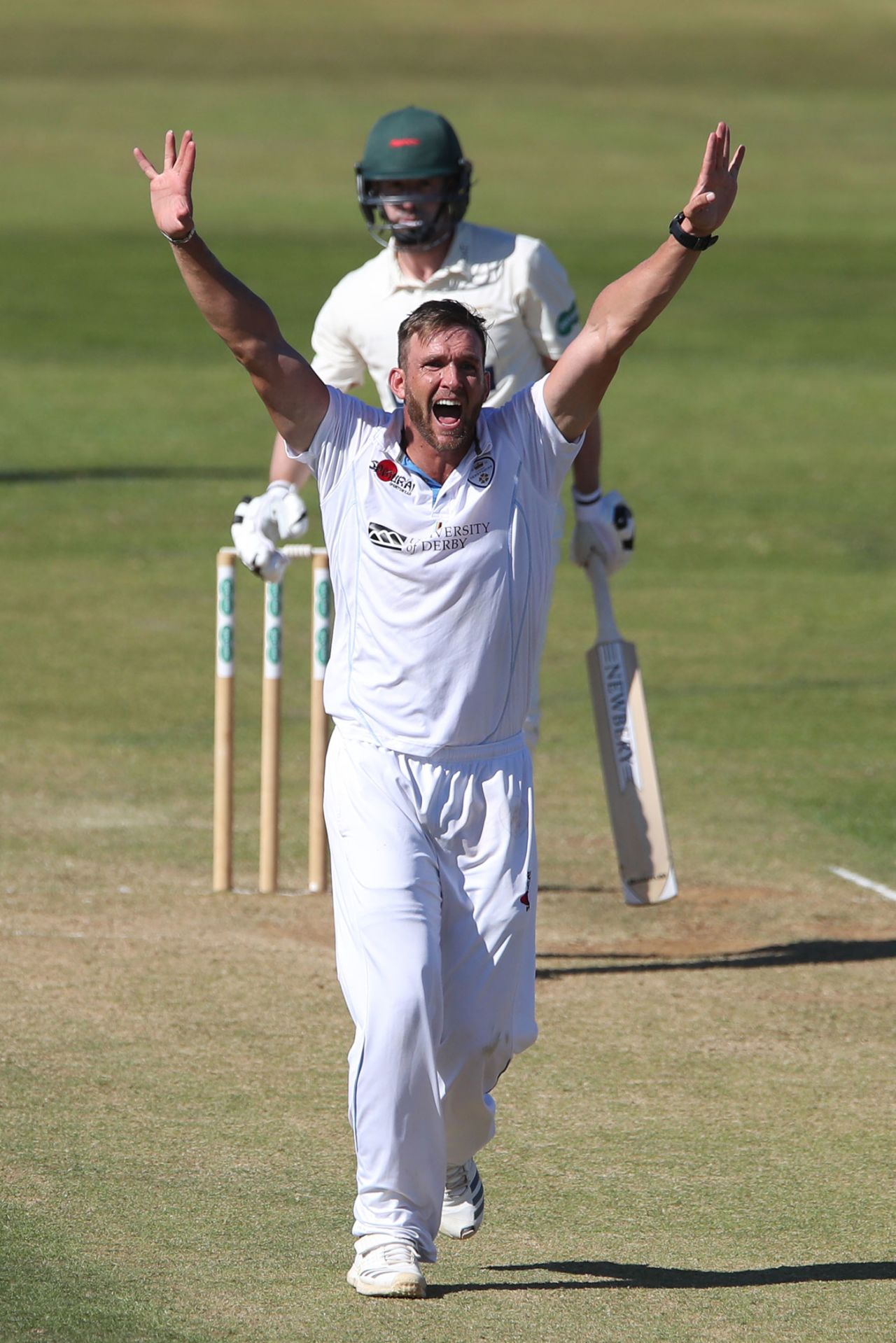 Hardus Viljoen goes up in appeal, Derbyshire v Leicestershire, County Championship, Division Two, Derby, 2nd day, June 26, 2018