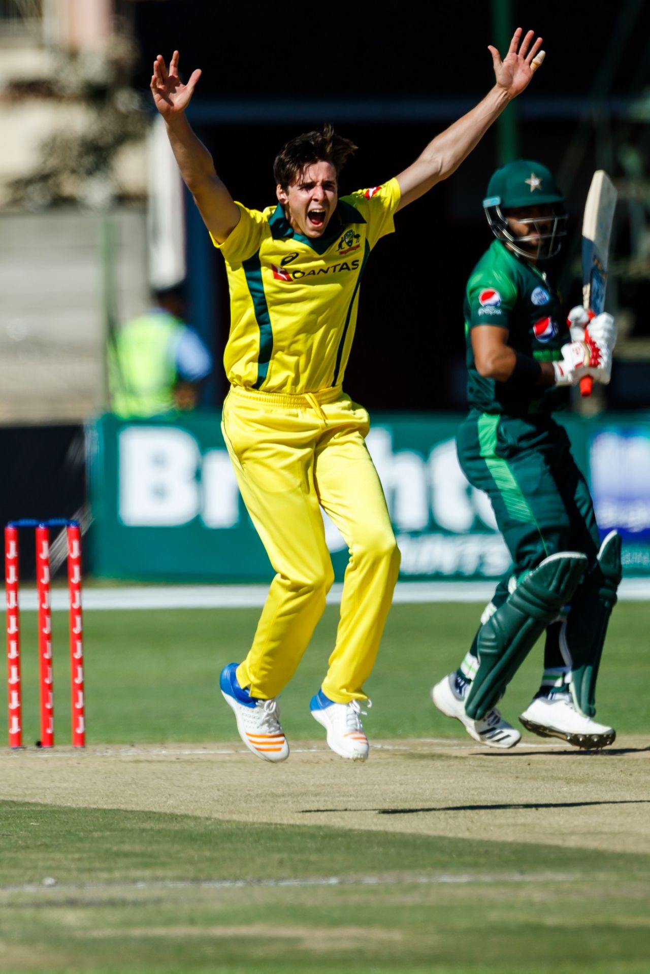 Jhye Richardson roars out an appeal, Australia v Pakistan, T20I tri-series second match, Harare, July 2, 2018