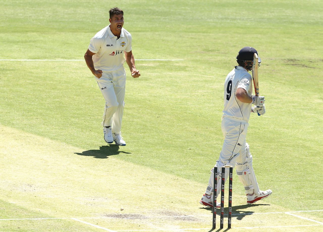 Marcus Stoinis celebrates dismissing Cameron White, Victoria v Western Australia, Sheffield Shield 2018-19, Perth, 2nd day, October 17, 2018