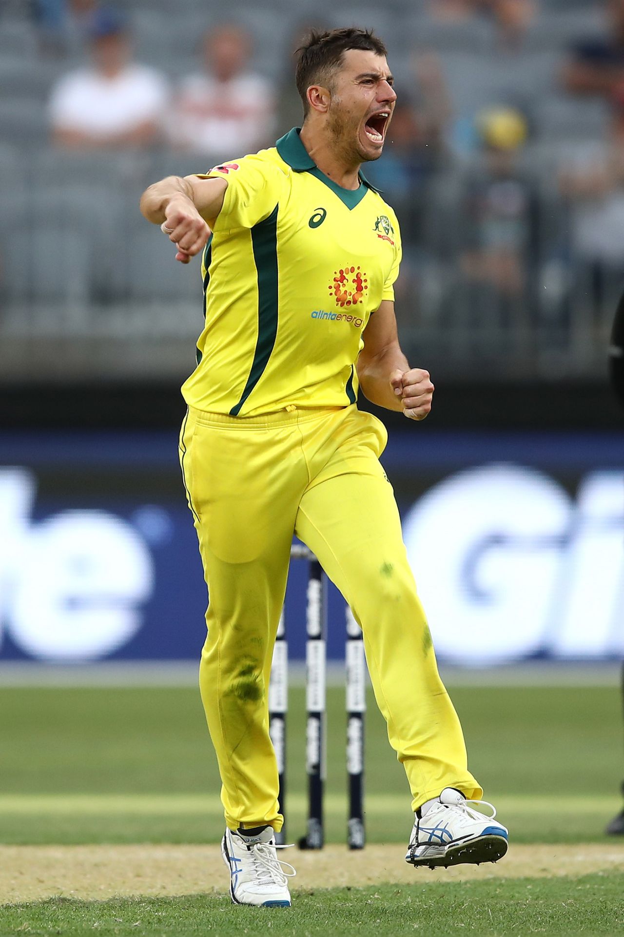 Marcus Stoinis celebrates Reeza Hendricks' wicket, Australia v South Africa, 1st ODI, Perth, November 4, 2018