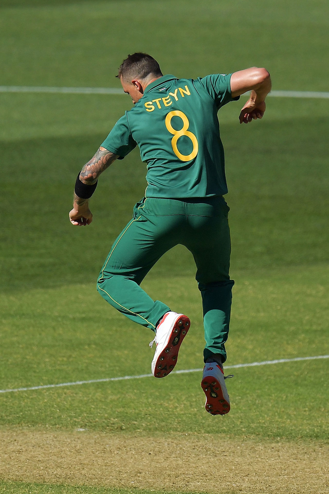 Dale Steyn joined in with the wicket-taking, Australia v South Africa, 2nd ODI, Adelaide, November 9, 2018
