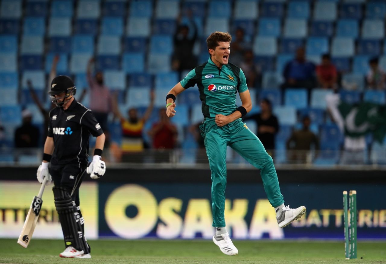 Shaheen Afridi is thrilled after bowling Colin Munro, Pakistan v New Zealand, 3rd ODI, Dubai, November 11, 2018