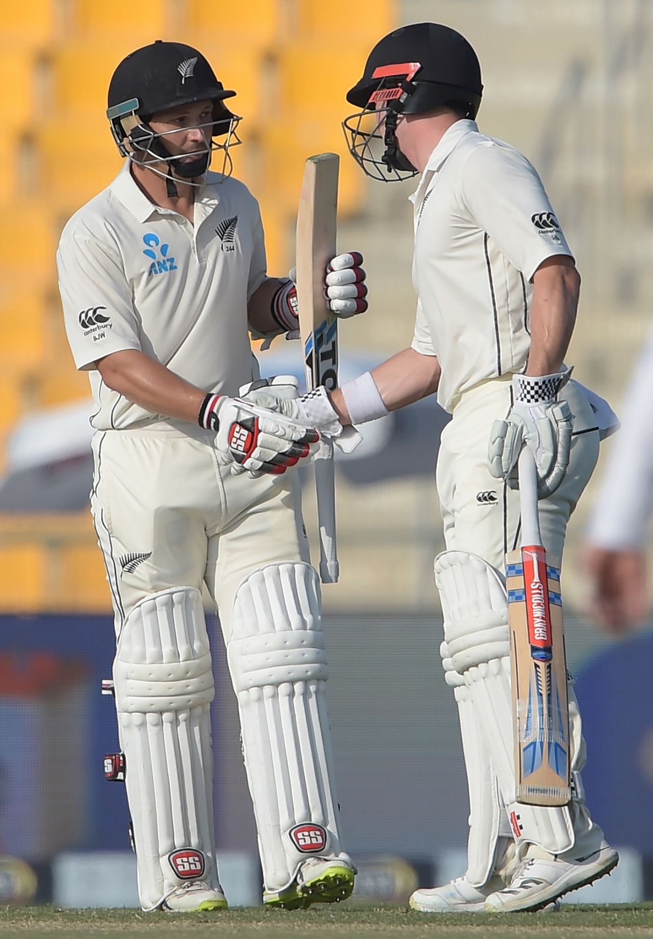 BJ Watling and Henry Nicholls get together, 1st Test, Abu Dhabi, 3rd day, November 18, 2018