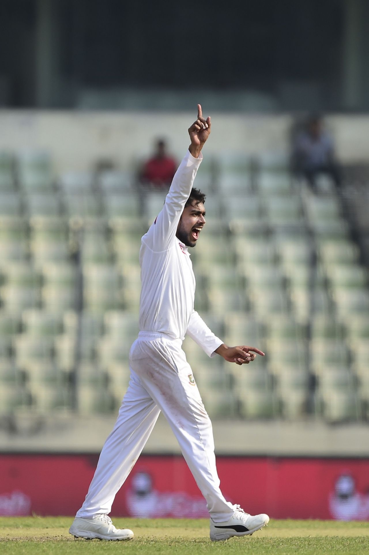 Mehidy Hasan celebrates a wicket, Bangladesh v West Indies, 2nd Test, Dhaka, 3rd day, December 2, 2018