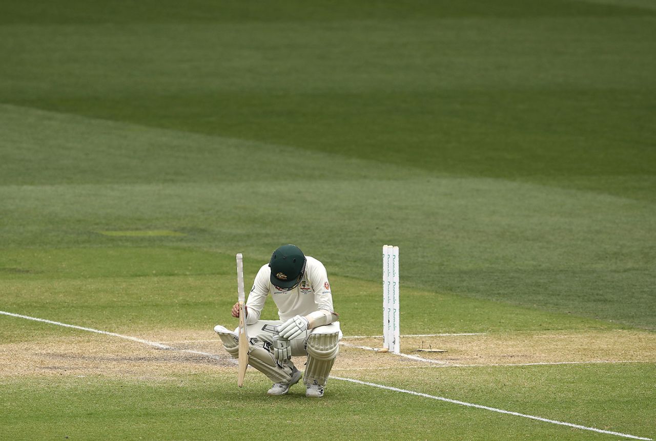 Nathan Lyon ended on the losing side despite a fine all-round display, Australia v India, 1st Test, Adelaide, 5th day, December 10, 2018