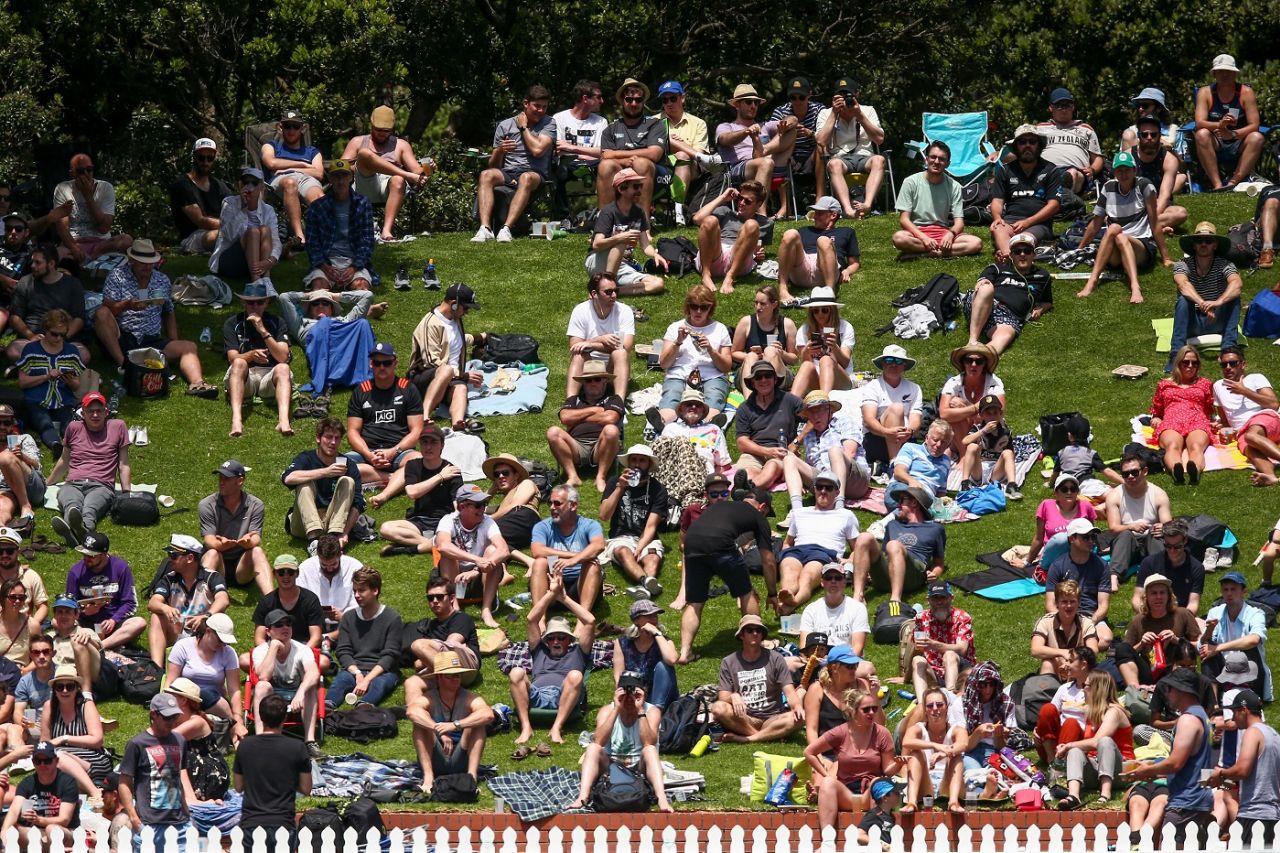 The Basin Reserve's grassbanks were populated by a sizable Saturday crowd, New Zealand v Sri Lanka, 1st Test, Wellington, 1st day, December 15, 2018