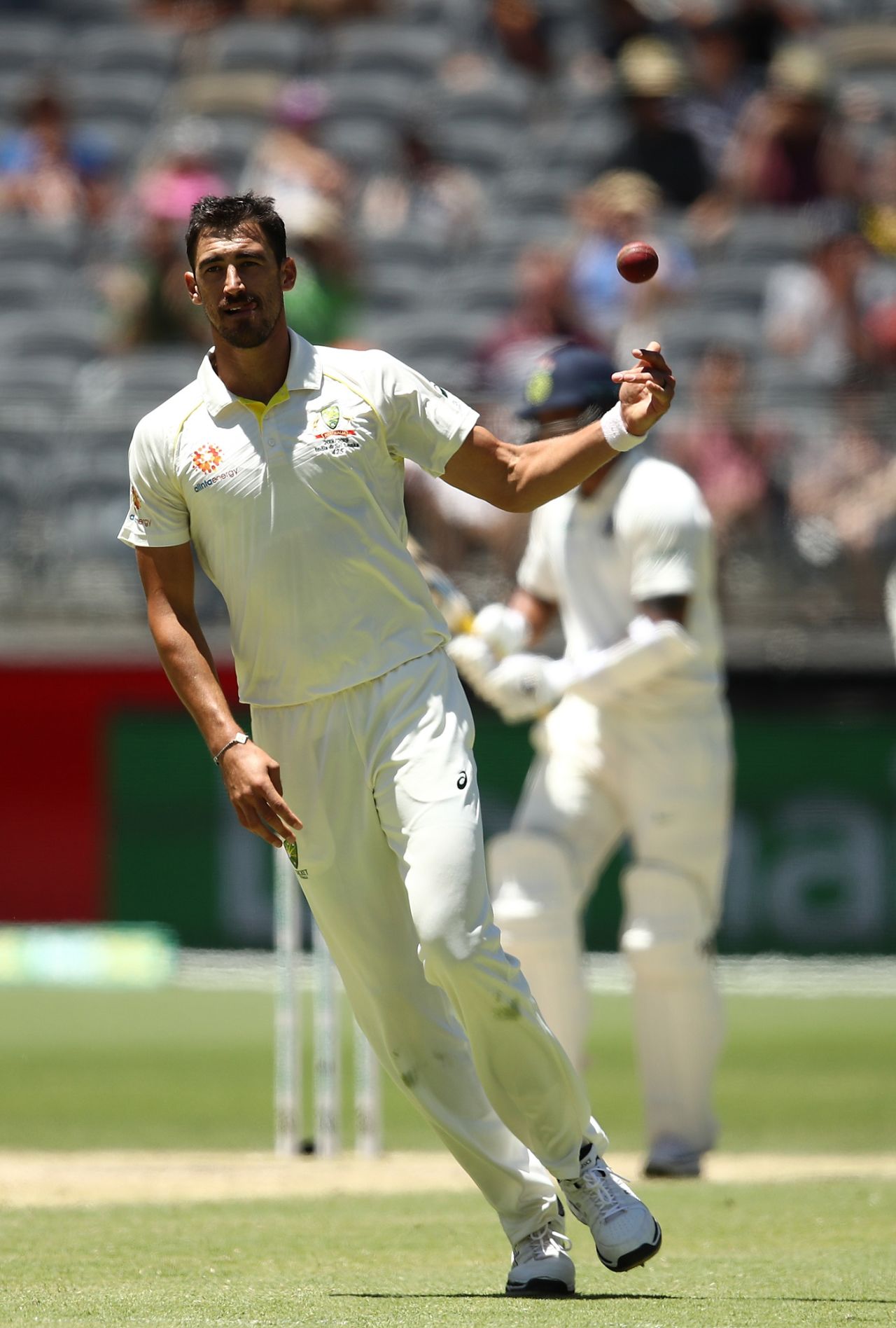 Mitchell Starc celebrates a wicket, Australia v India, 2nd Test, Perth, 5th day, December 18, 2018