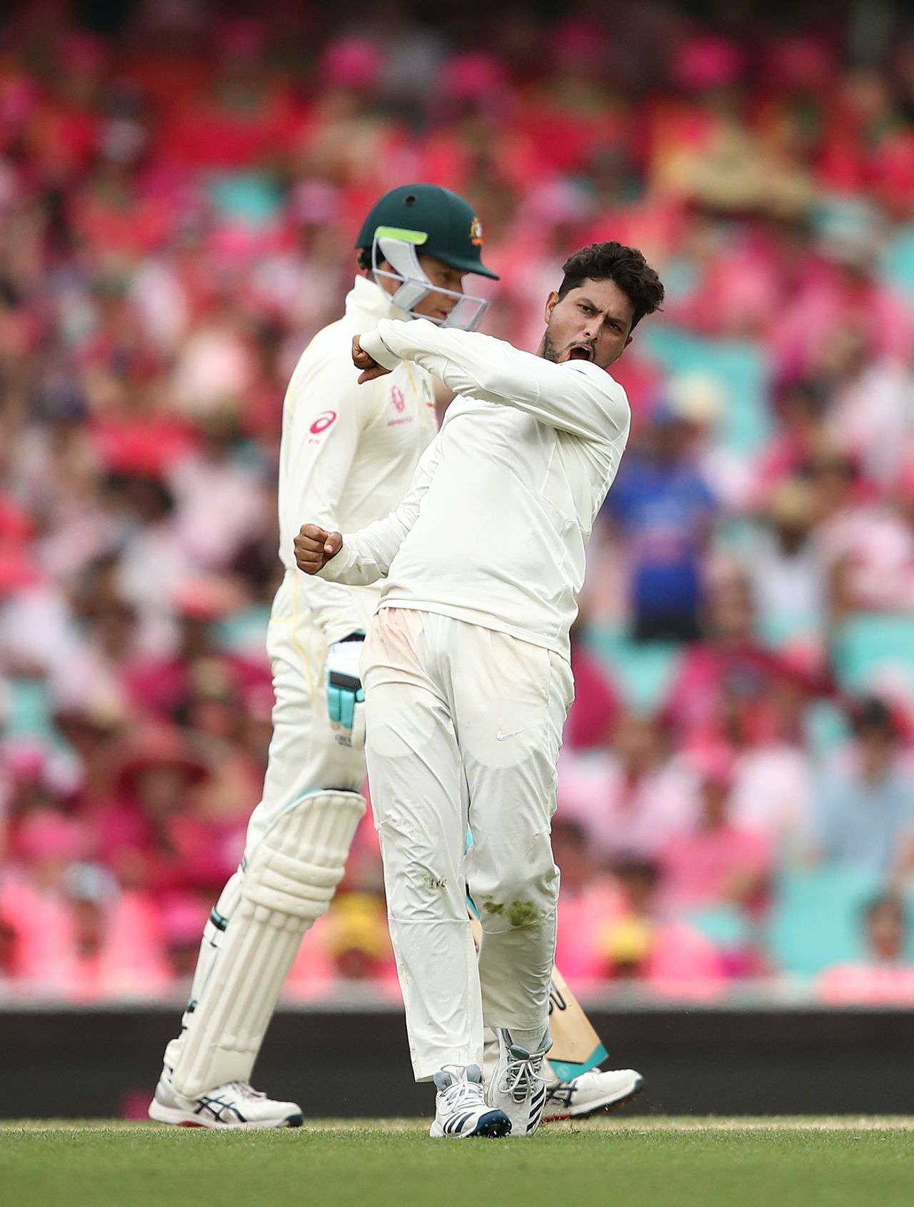 Kuldeep Yadav is jubilant after dismissing Tim Paine, Australia v India, 4th Test, Sydney, 3rd day, January 5, 2019