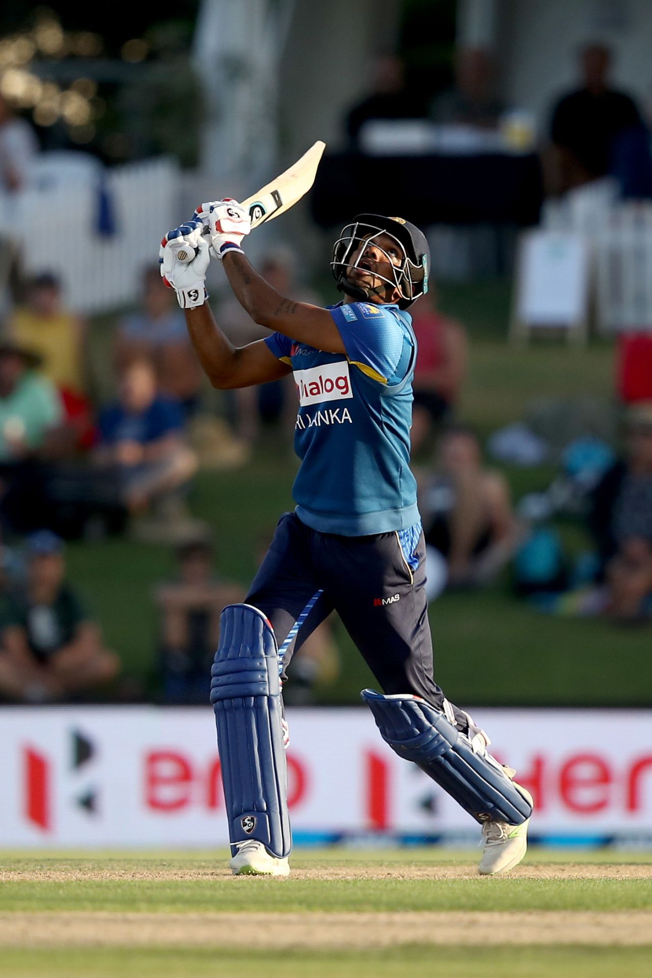 Danushka Gunathilaka skies the ball to be caught, New Zealand v Sri Lanka, 2nd ODI, Mount Maunganui