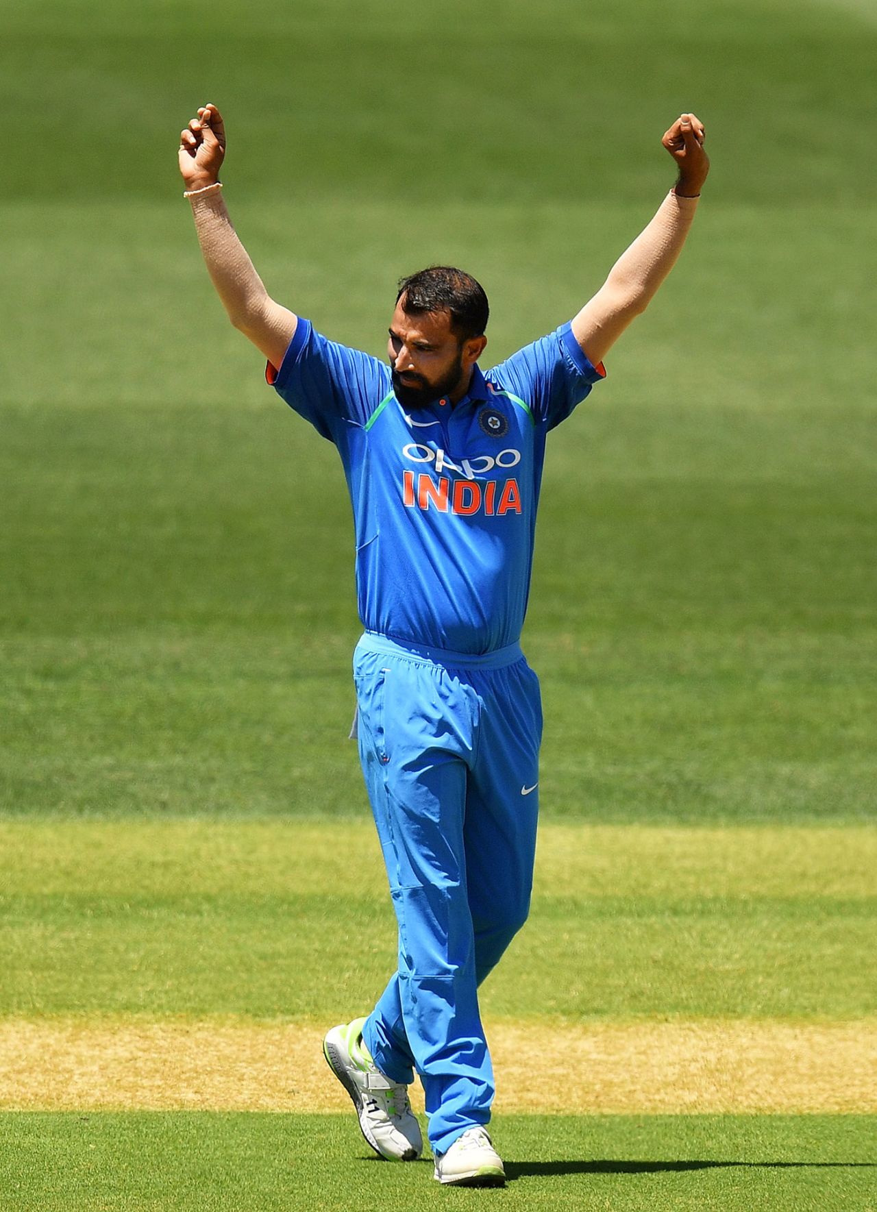Mohammed Shami claimed the wicket of Alex Carey, Australia v India, 2nd ODI, Adelaide, January 15, 2018