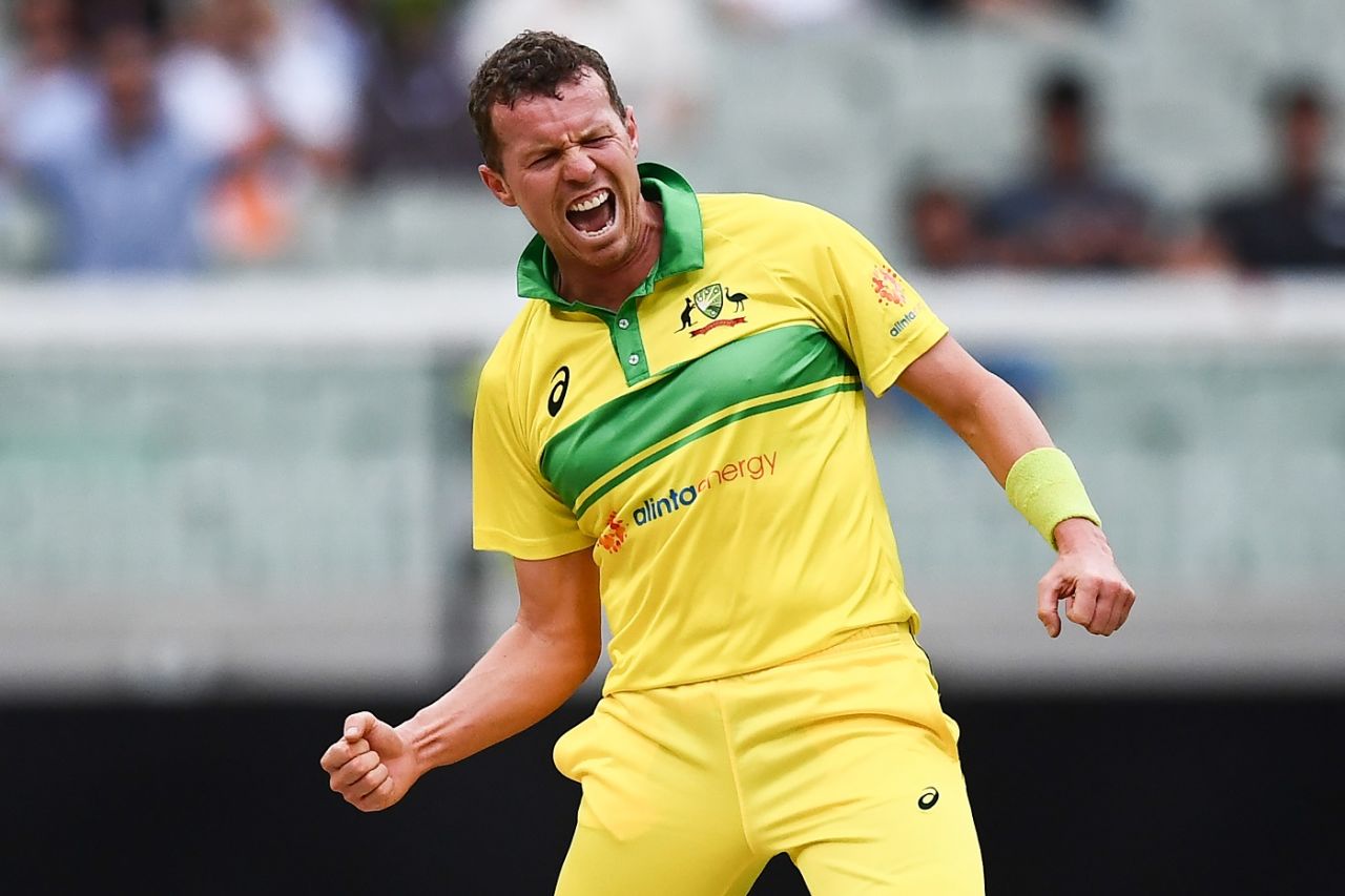 Peter Siddle exults after picking a wicket, Australia v India, 3rd ODI, Melbourne, January 18, 2019