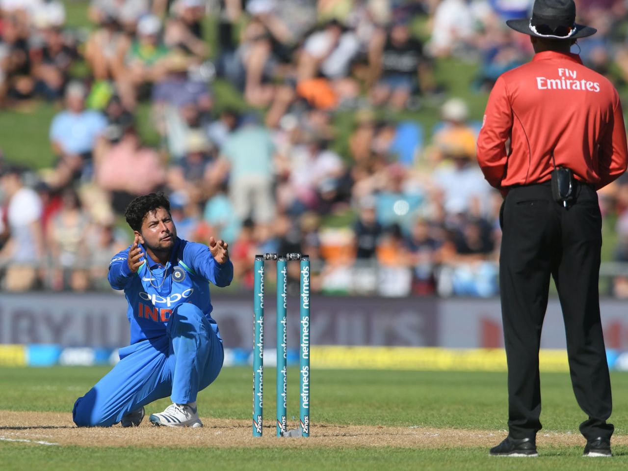 Pretty please? Kuldeep Yadav asks the umpire to think hard about the decision, New Zealand v India, 1st ODI, Napier, 23 January, 2019