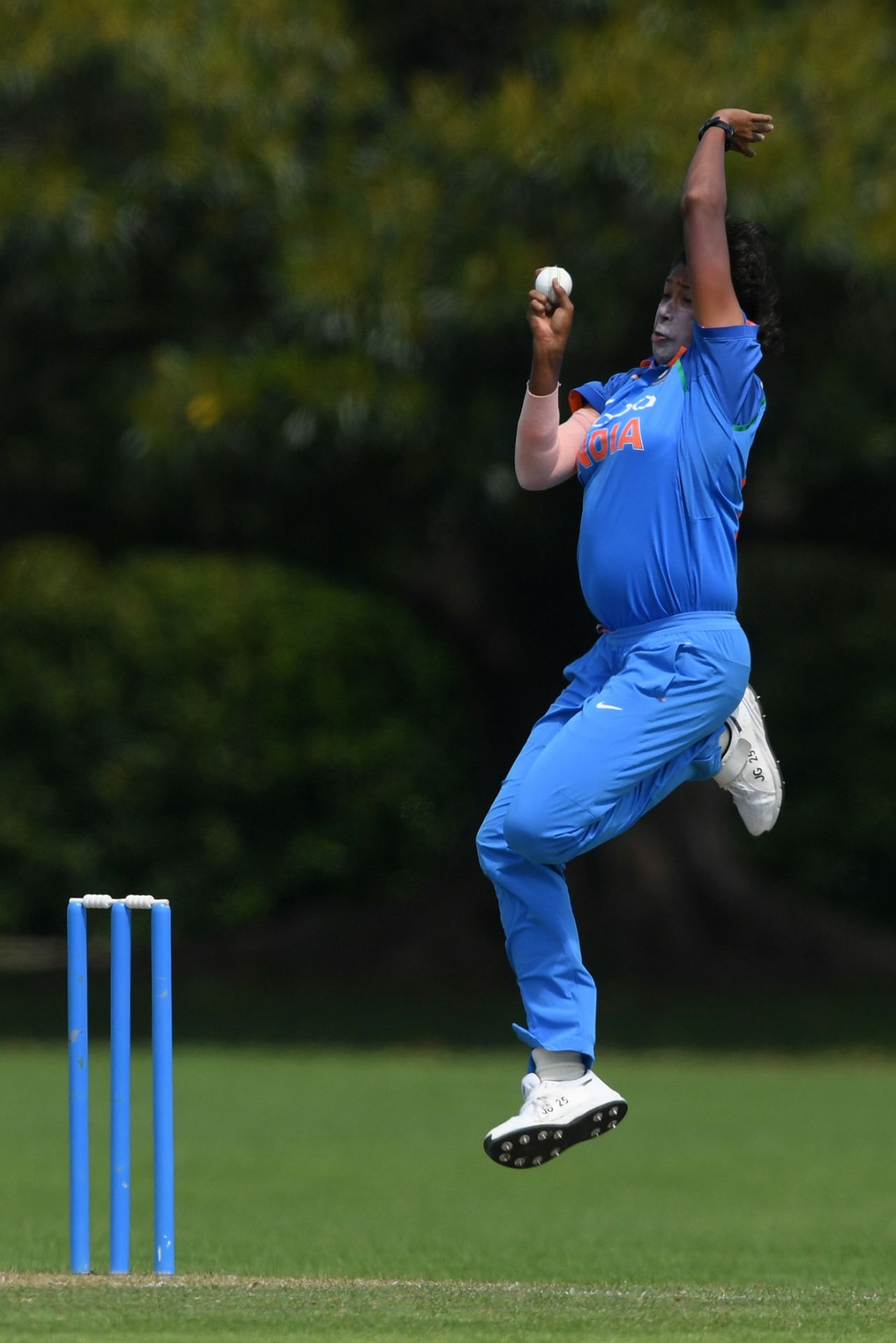 Jhulan Goswami picked up three wickets as New Zealand folded for 161