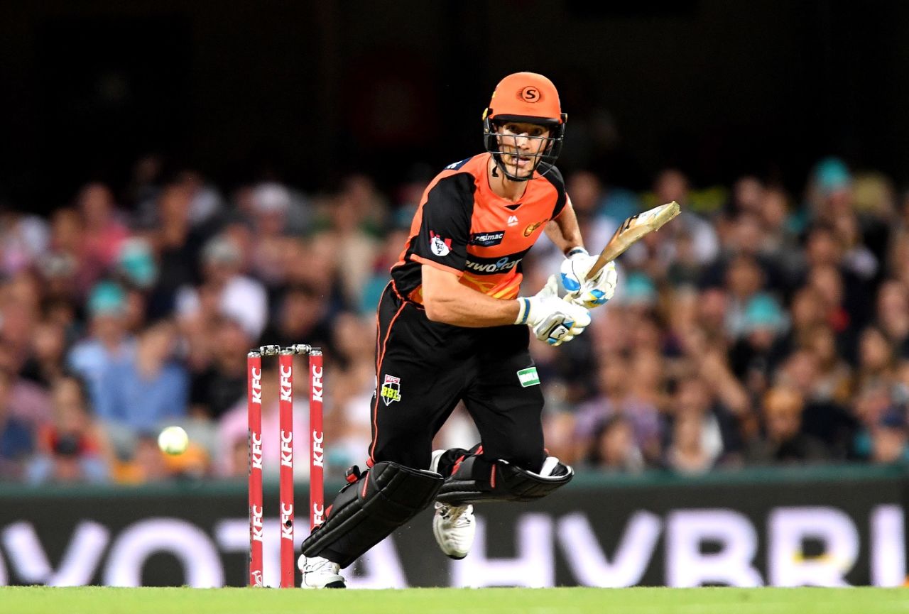Nick Hobson top-scored for Perth Scorchers, Brisbane Heat v Perth Scorchers, BBL 2018-19, Brisbane, February 1, 2019
