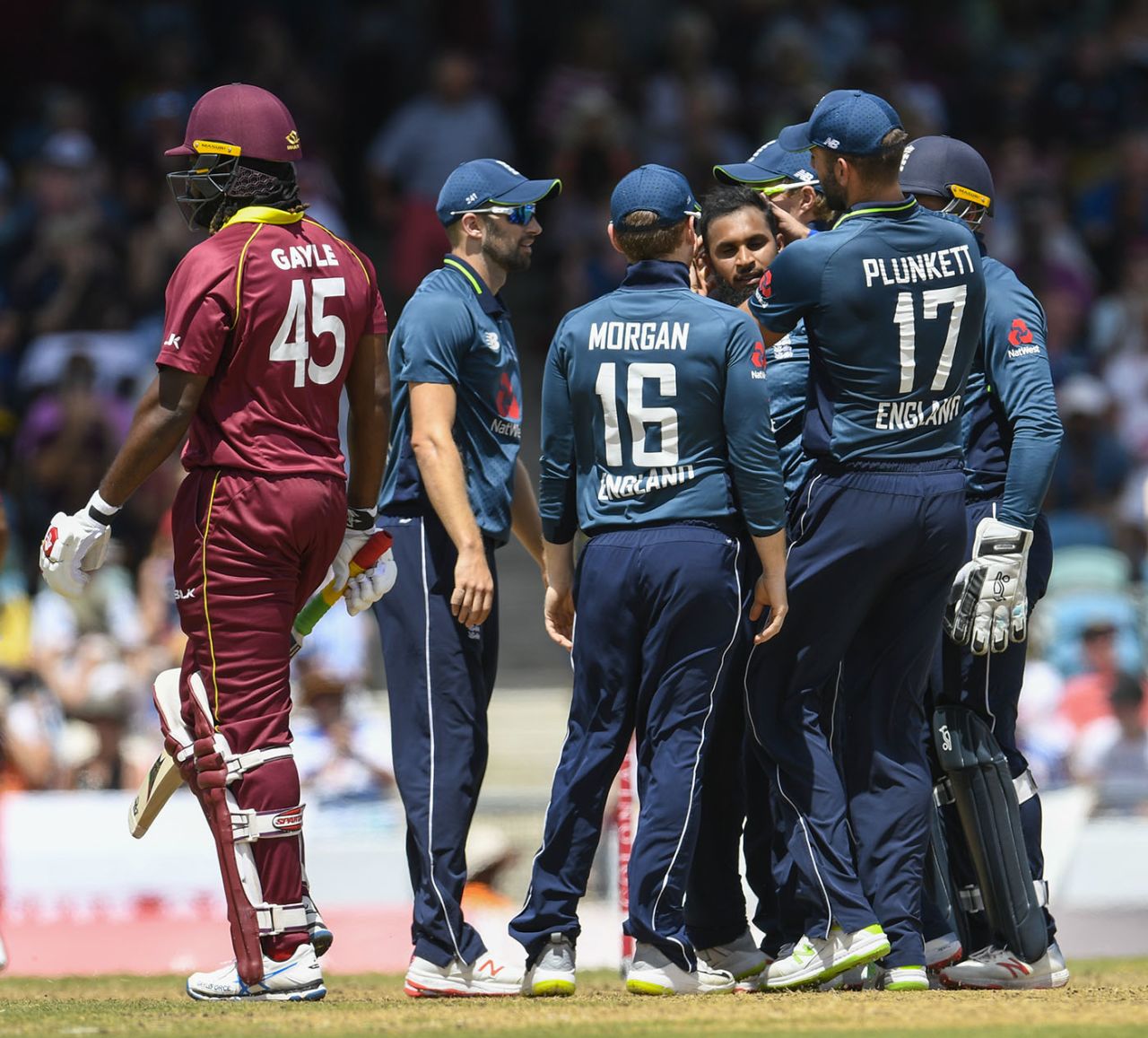 Adil Rashid and his team-mates celebrates the dismissal of Chris Gayle, West Indies v England, 2nd ODI, Barbados, February 22, 2019