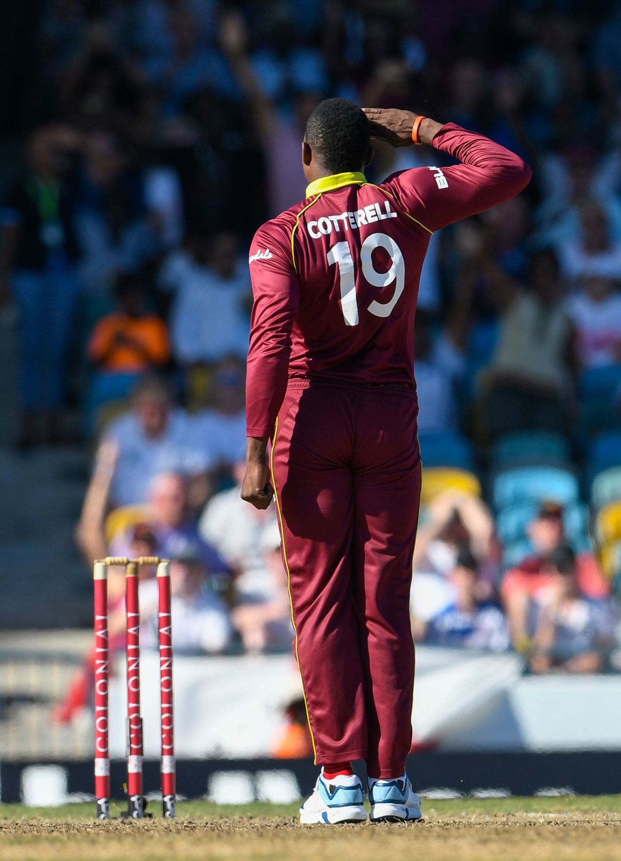 Sheldon Cottrell salutes after taking another wicket, West Indies v England, 2nd ODI, Barbados, February 22, 2019