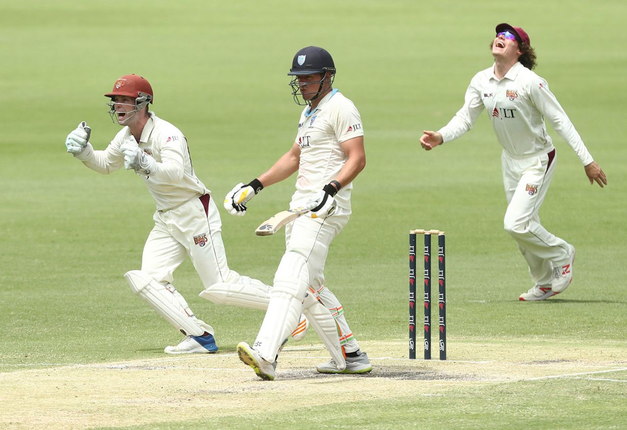 Queensland celebrate the wicket of Moises Henriques, Queensland v New South Wales, Sheffield Shield Brisbane, March 5, 2019