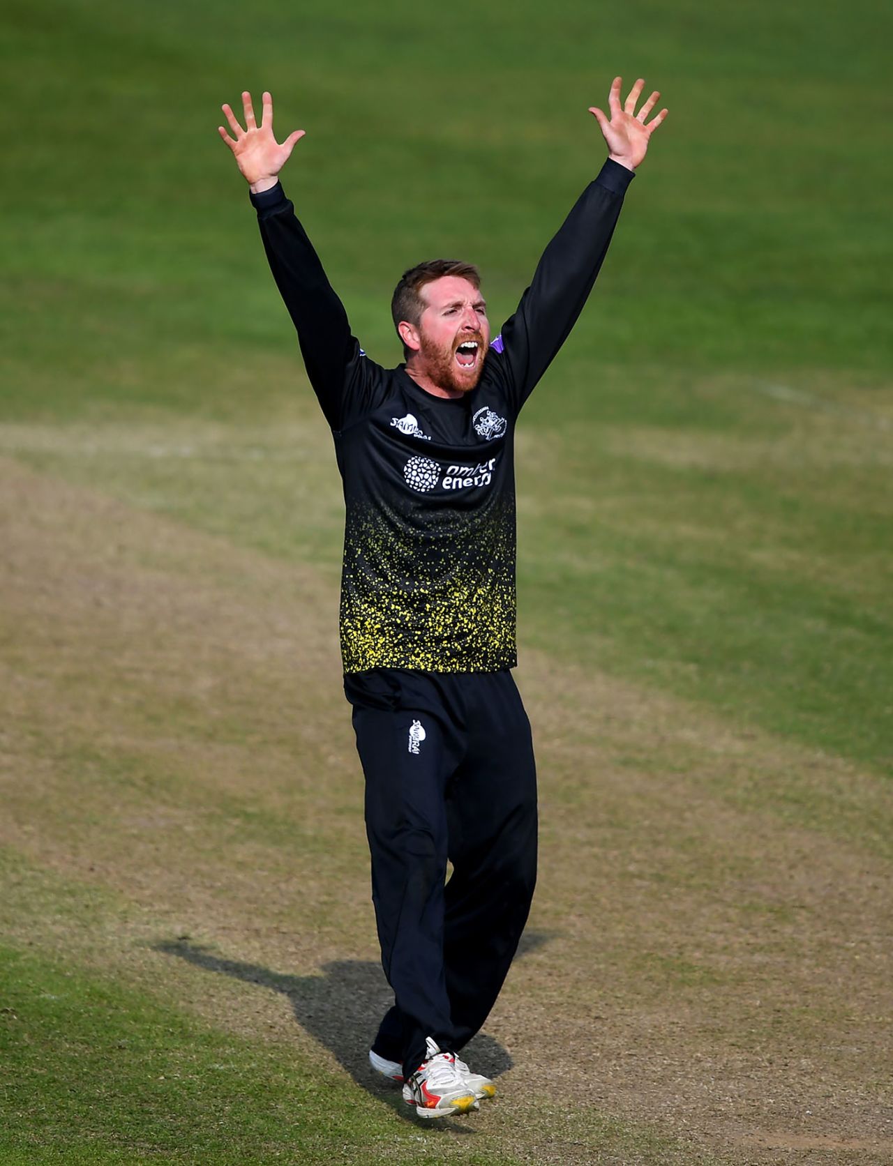 Tom Smith appeals for a wicket, Gloucestershire v Surrey, Royal London Cup, South Group, Bristol, April 17, 2019