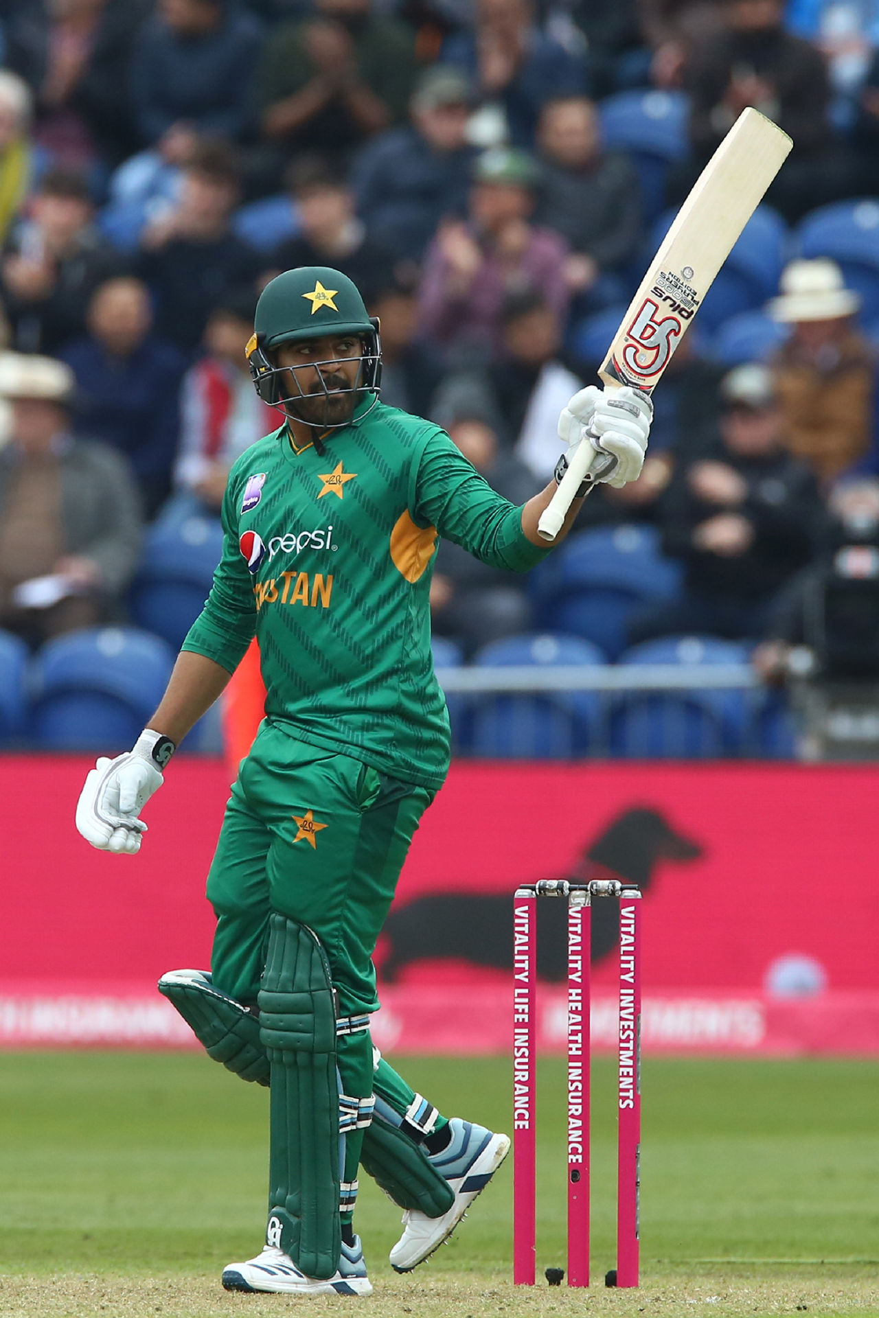 Haris Sohail celebrates his maiden T20I fifty, England v Pakistan, only T20I, Cardiff, May 5, 2019