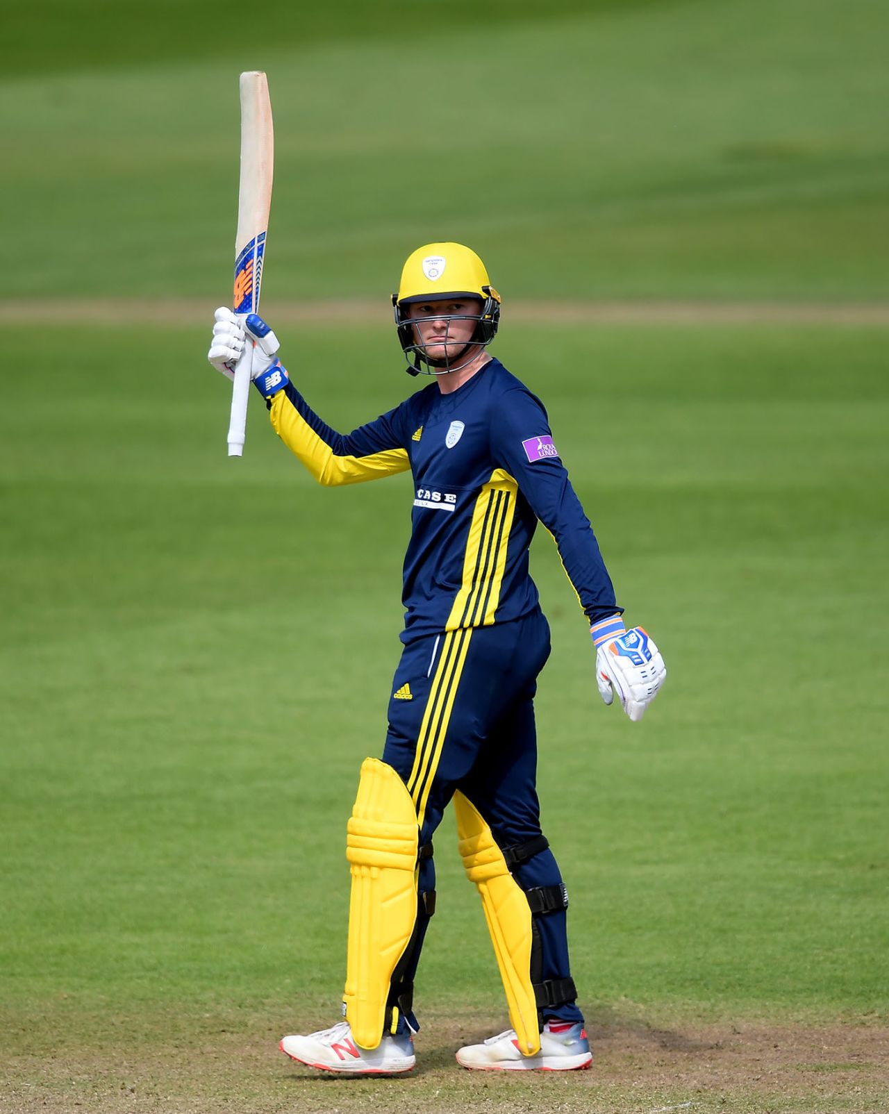 Aneurin Donald celebrates fifty, Somerset v Hampshire, Royal London One Day Cup, Taunton, May 5, 2019