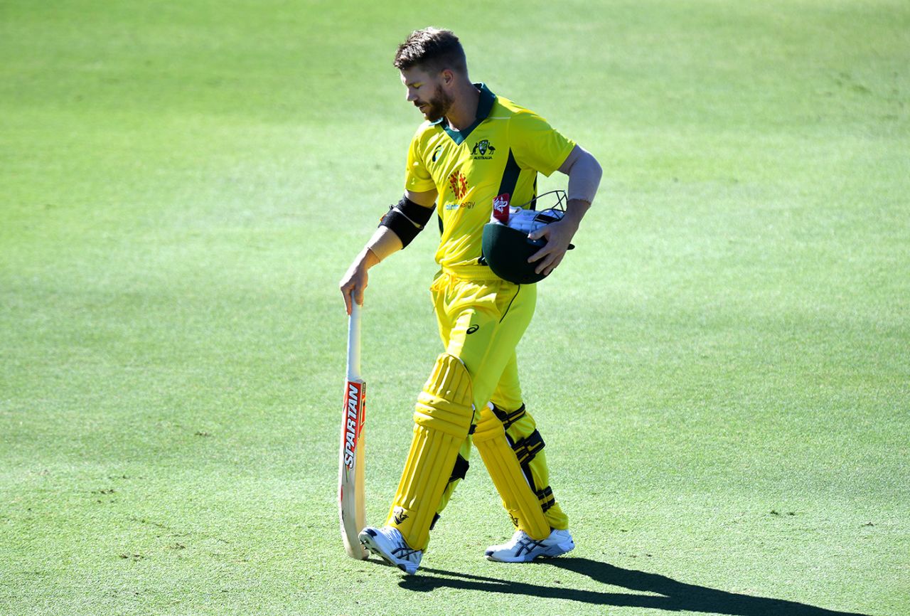 David Warner fell for a duck after returning to open the batting, Australian XI v New Zealand XI, 2nd one-day match, Allan Border Field, May 8, 2019