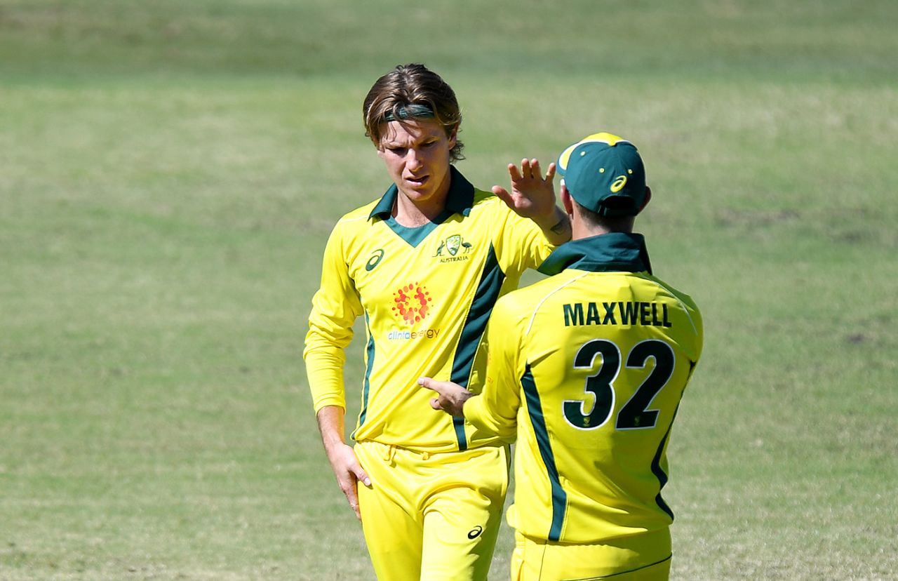 Adam Zampa is congratulated on a wicket, Australia XI v New Zealand XI, 3rd one-day match, Allan Border Field, May 10, 2019